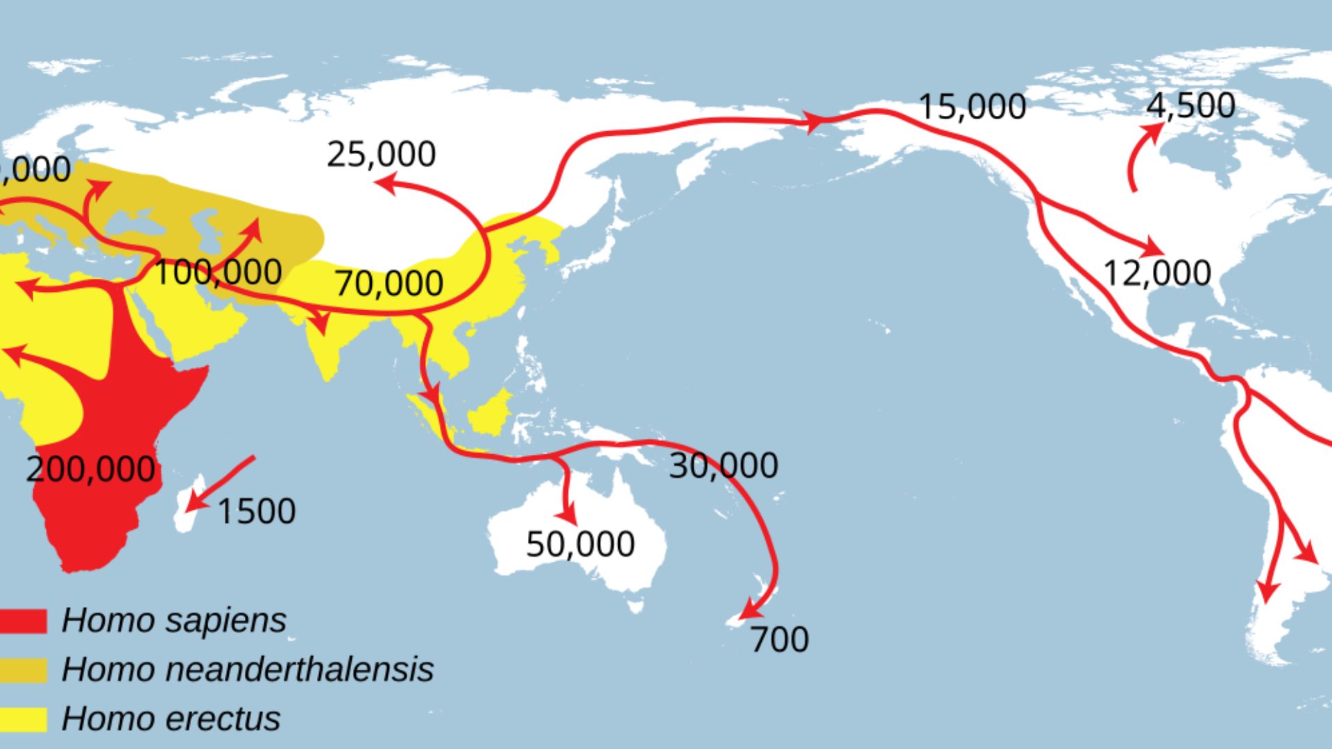 A New View of Human Migration