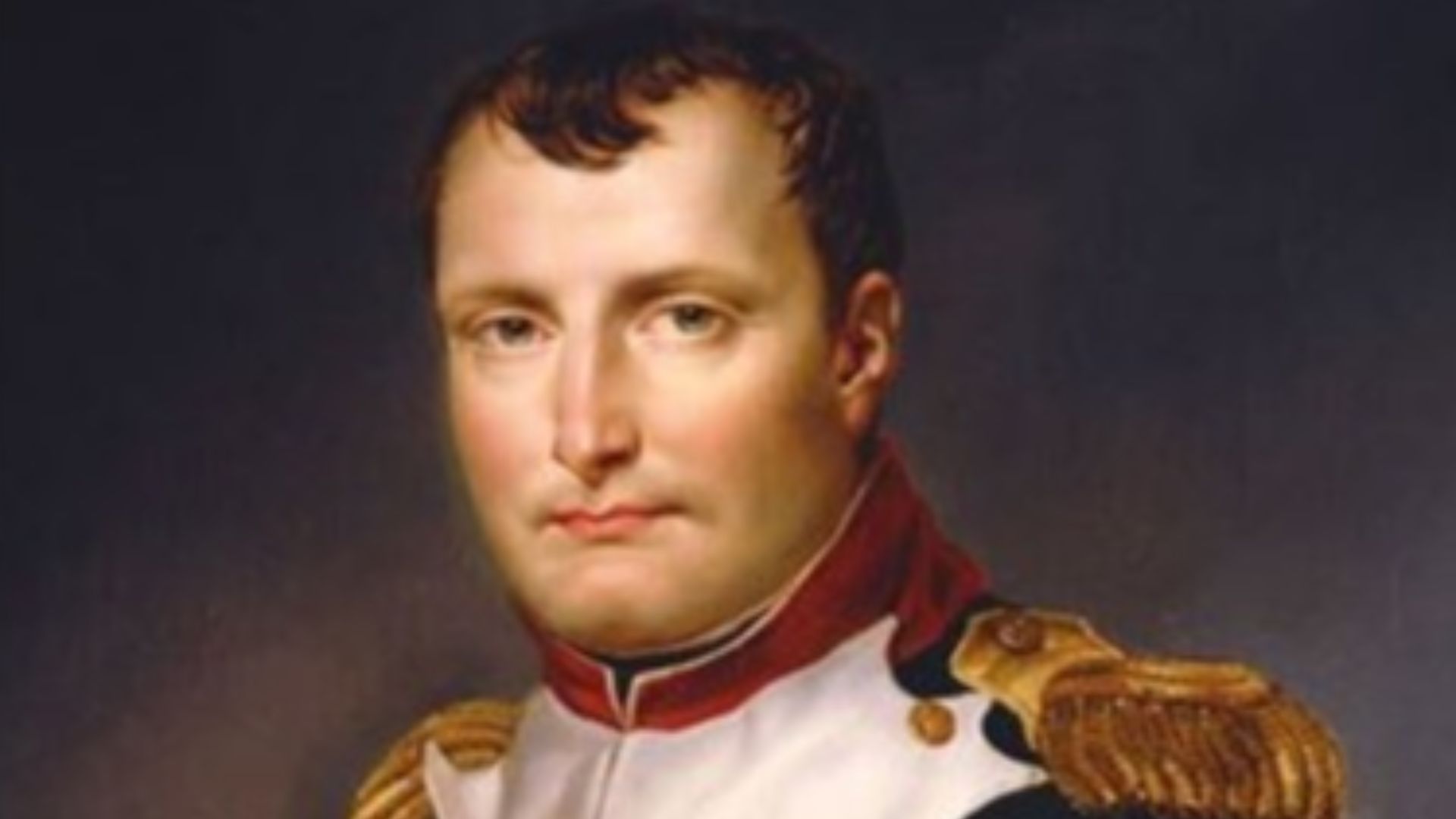 File:Painting of Napoleon Bonaparte by Jacques-Louis David, 1813.jpg