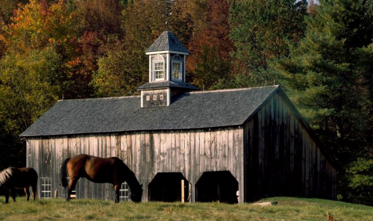 Growing Up In Rural 19th-Century New England