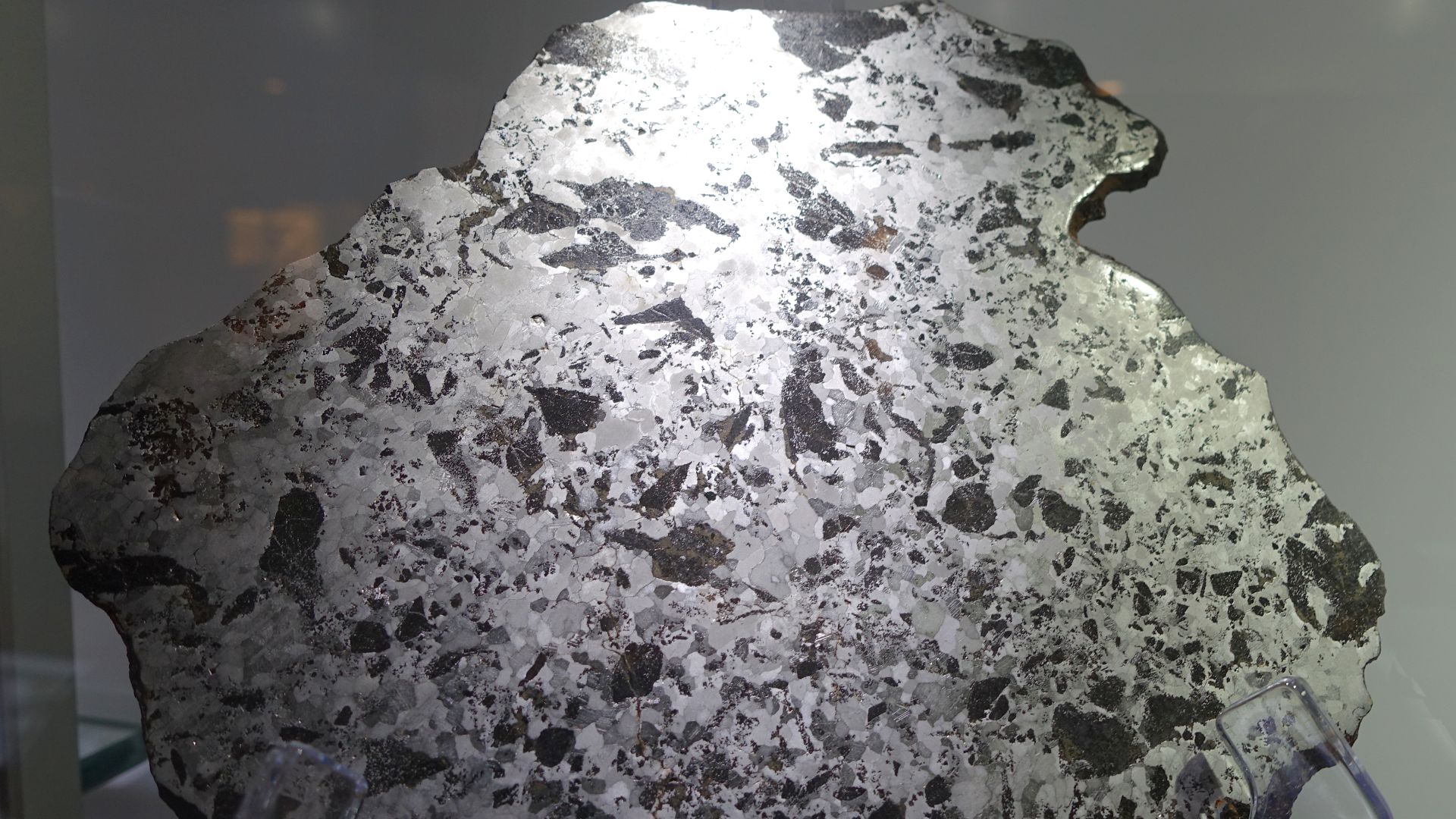 File:NWA 5549, Iron, IAB-MG - Center for Meteorite Studies - Arizona State University - Tempe, AZ - DSC05765.JPG