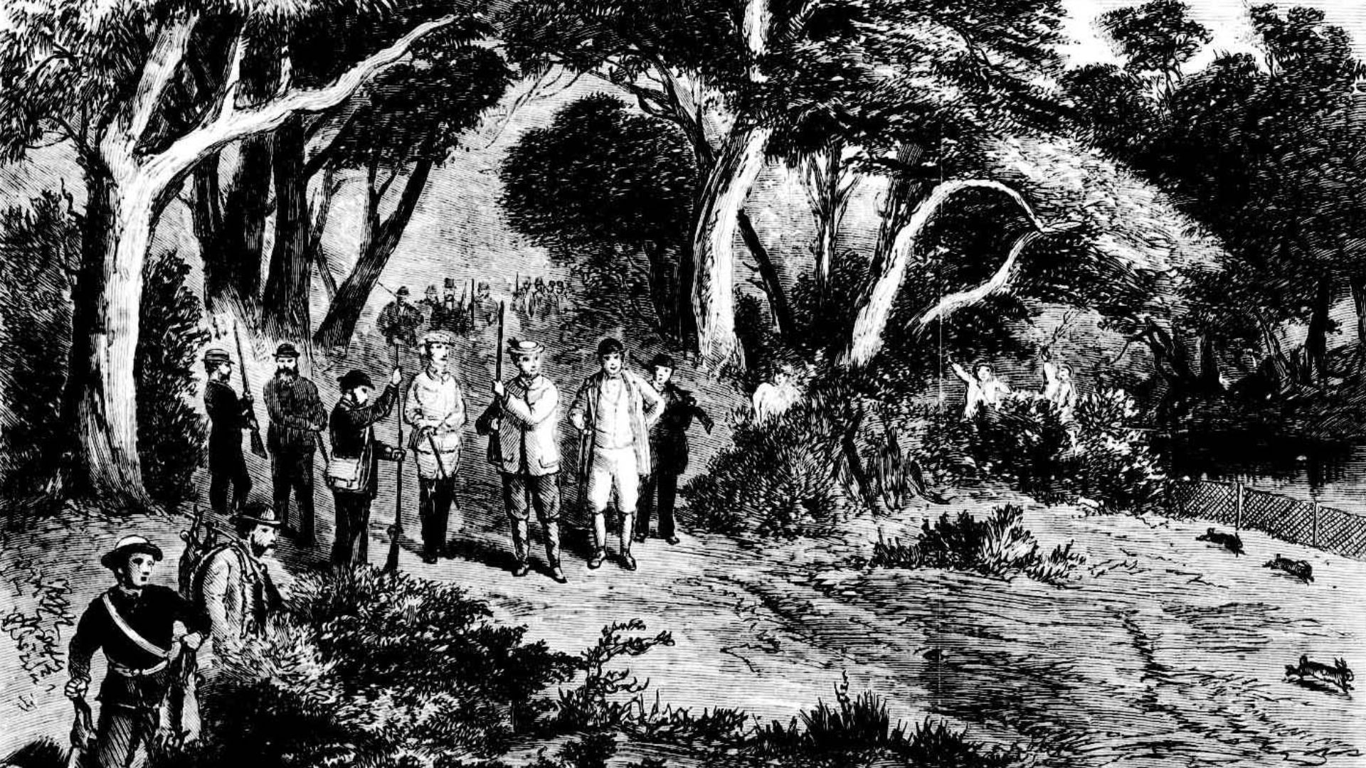 Illustration of H.R.H. The Duke of Edinburgh rabbit shooting at Barwon Park, Victoria, Australia in the 1860s.