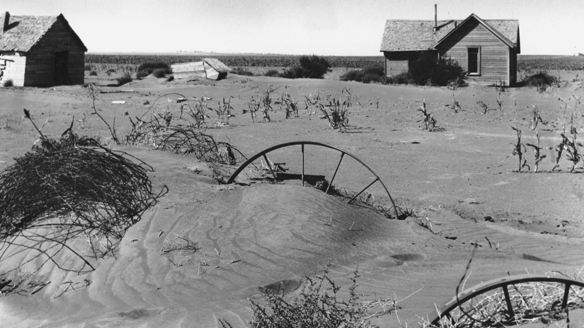 Homestead and farm in Texas County, Oklahoma, USA, during Dust Bowl.