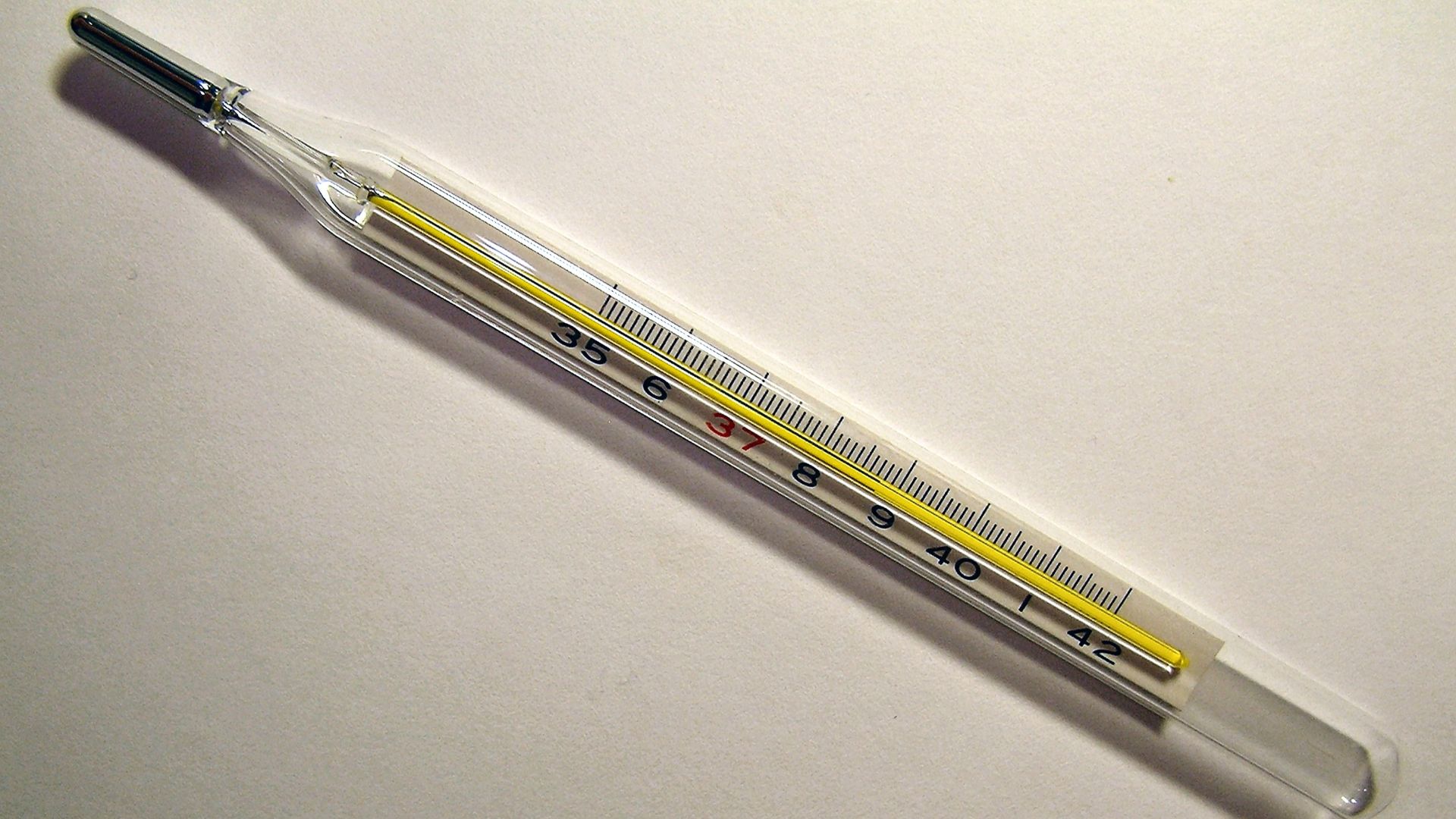 A medical/clinical thermometer showing the temperature of 38.7 °C. The ideal body temperature of 37 °C is highlighted in red.