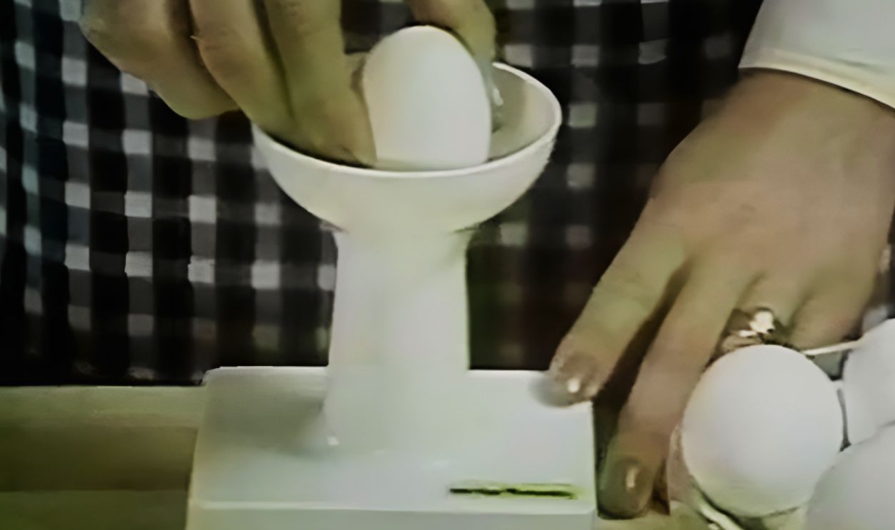Screenshot from Ronco Electric Scrambler ad
