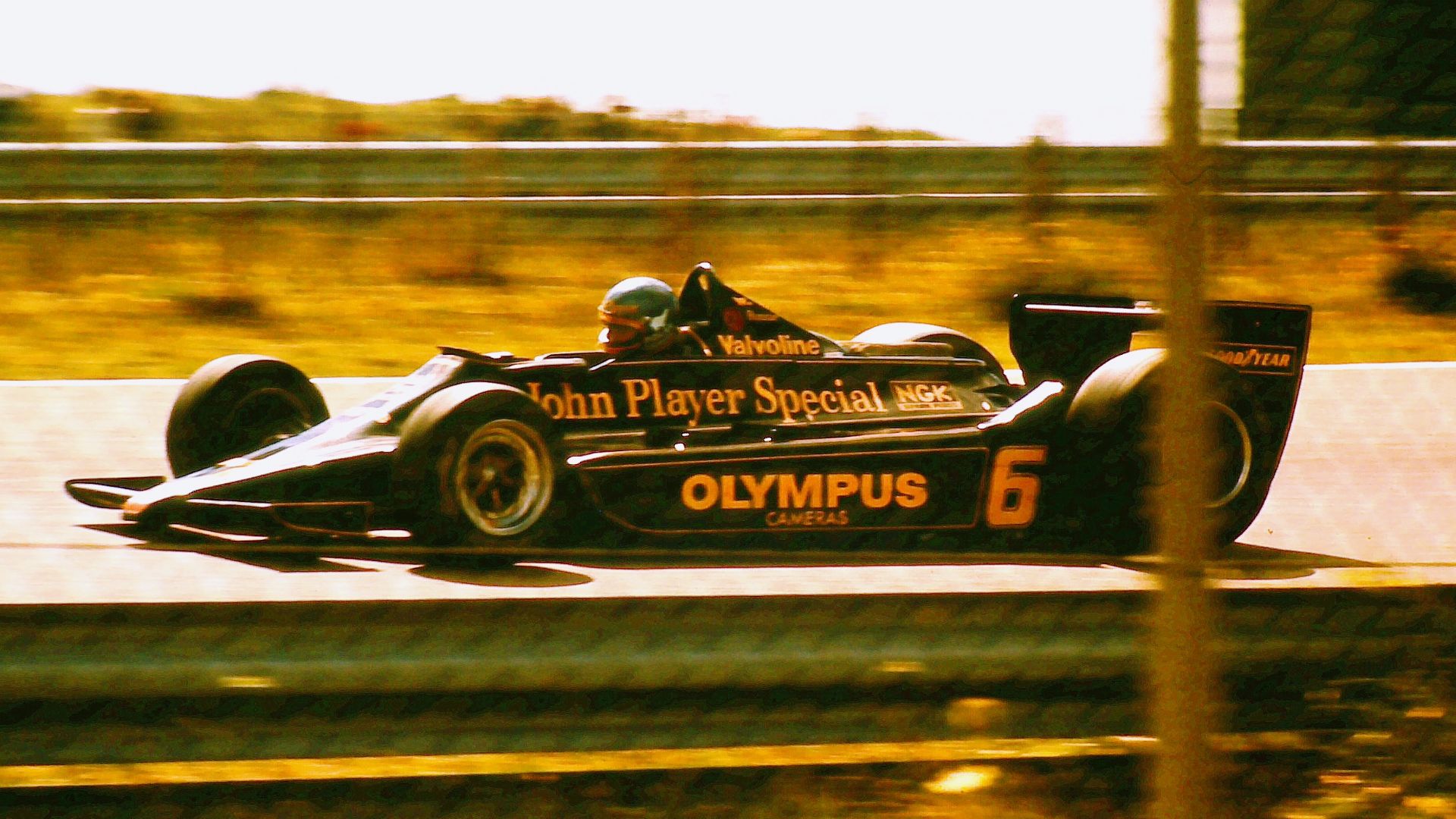 Ronnie Peterson - Lotus 79 - 1978 Dutch Grand Prix, Zandvoort