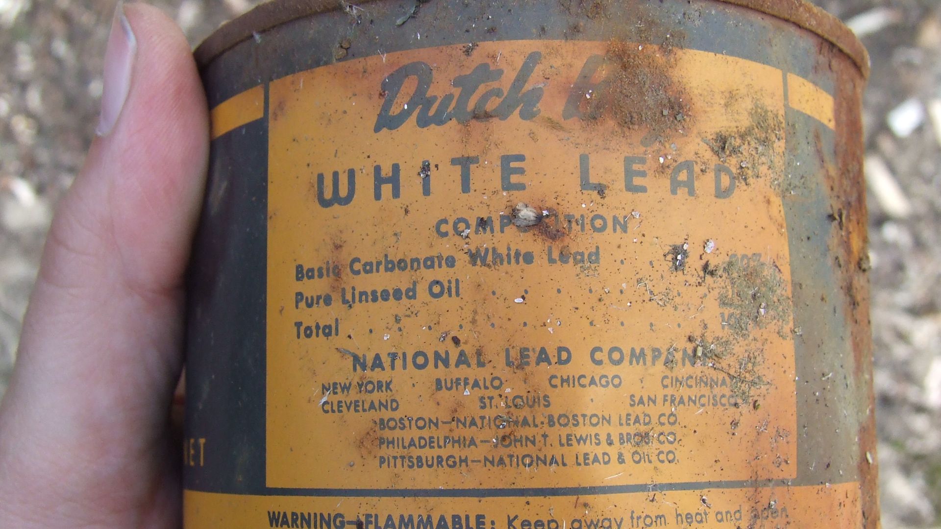 Dutch Boy Paint logo (rear)