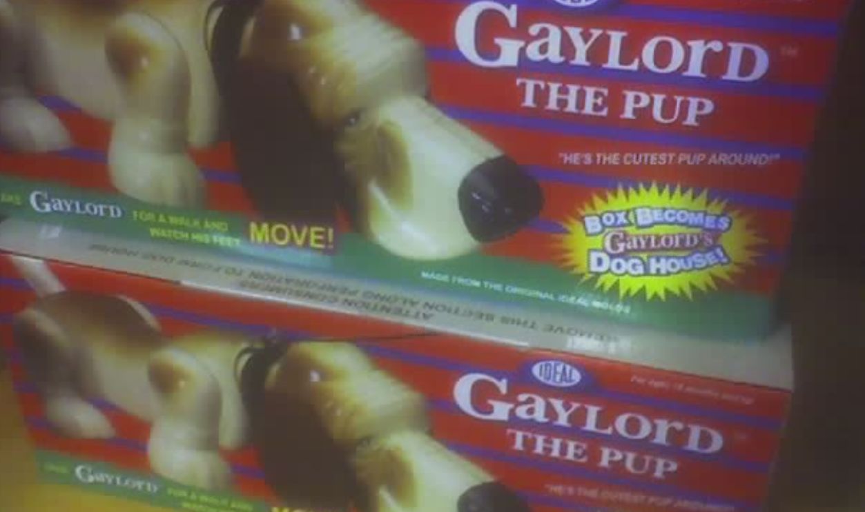 Gaylord The Pup