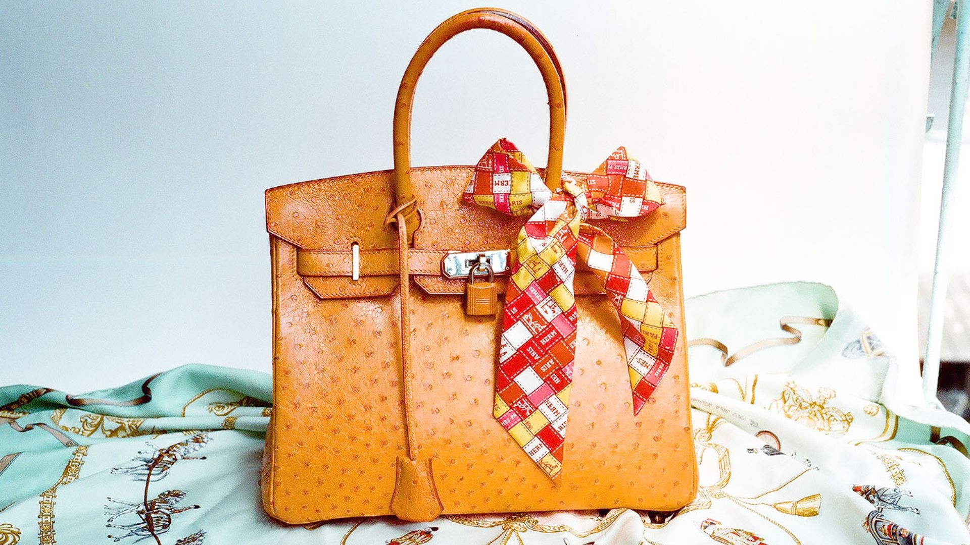 Hermès Ostrich Birkin Bag