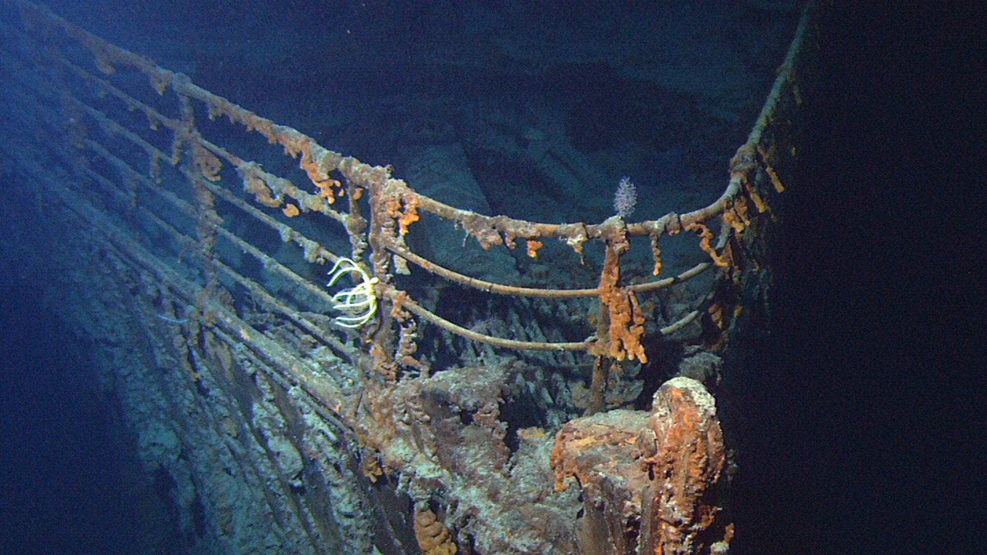 View of the bow of the RMS Titanic photographed in June 2004 by the ROV Hercules during an expedition returning to the shipwreck of the Titanic.
