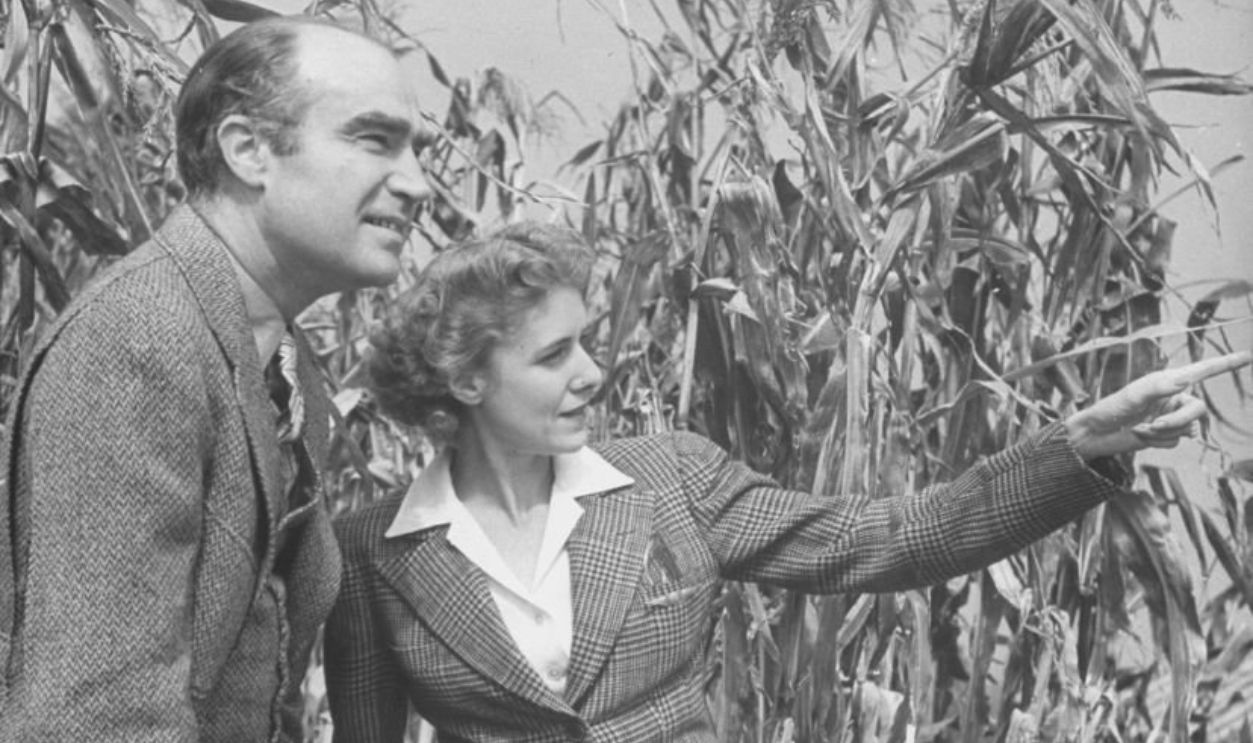 Founder of Time Inc., Henry Luce, looking at something wife Clare Boothe Luce is pointing at in pumpkin patch at Luce farm, Greenwich, CT.