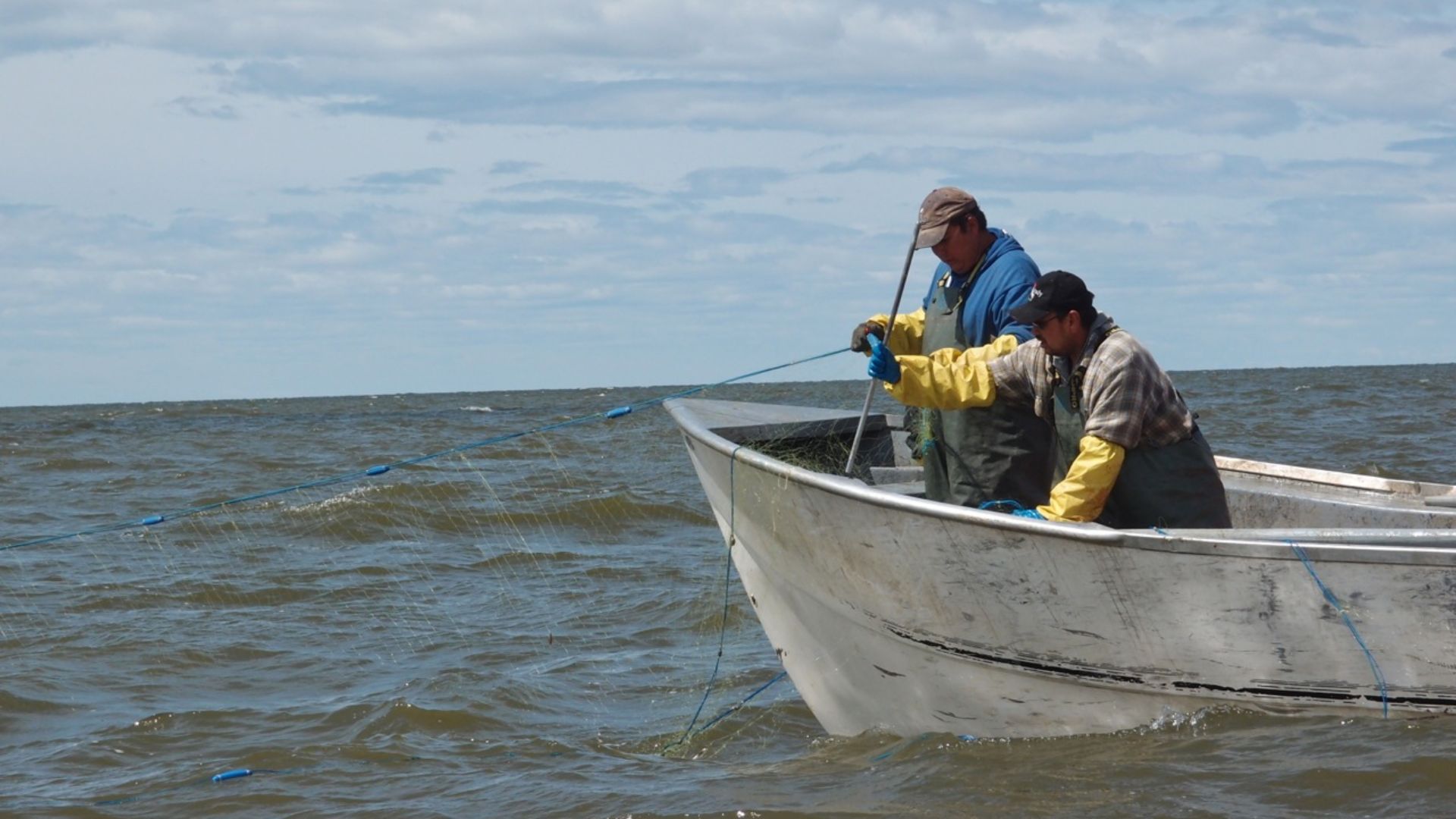 Commercial pickerel/walleye (Sander vitreus) fishing on Lake Winnipeg by members of Norway House Cree Nation