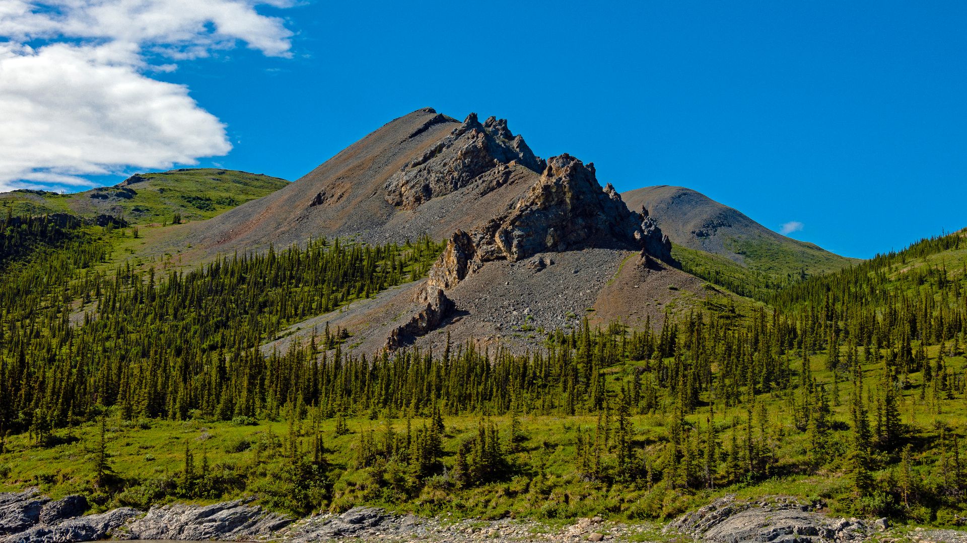 Mountain informally named Stegosaurus Ridge for its resemblance to the dinosaur, in Canada's Ivvavik National Park. The Firth River is at bottom.