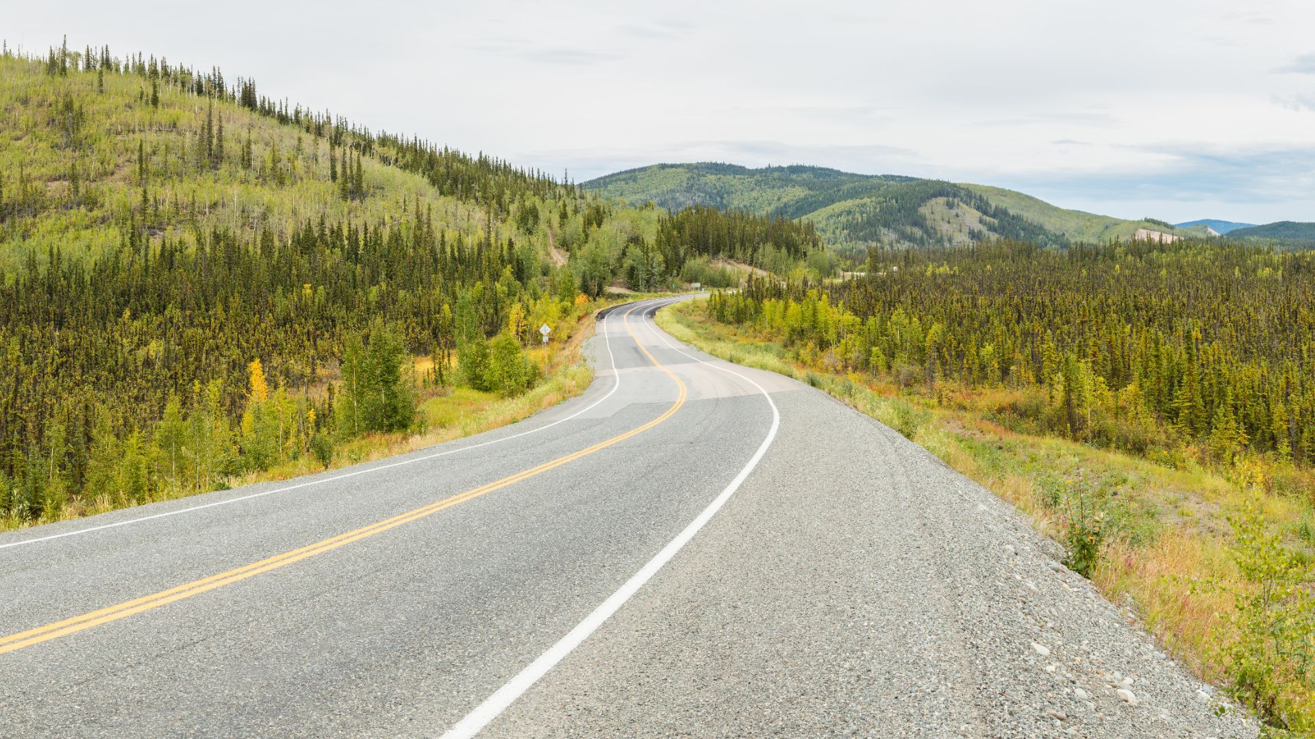 Alaska Highway, Tok, Alaska, USA