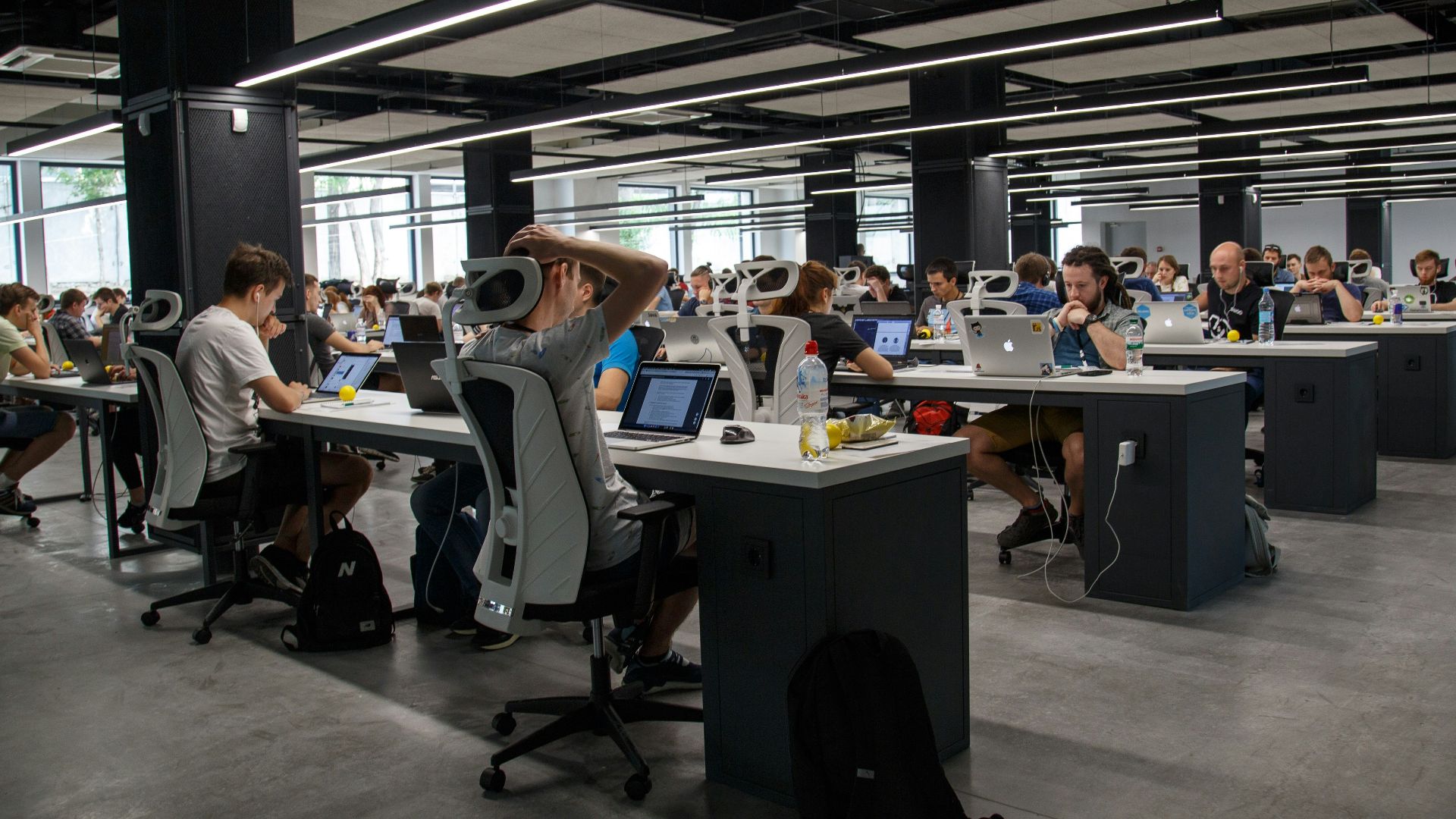 people doing office works