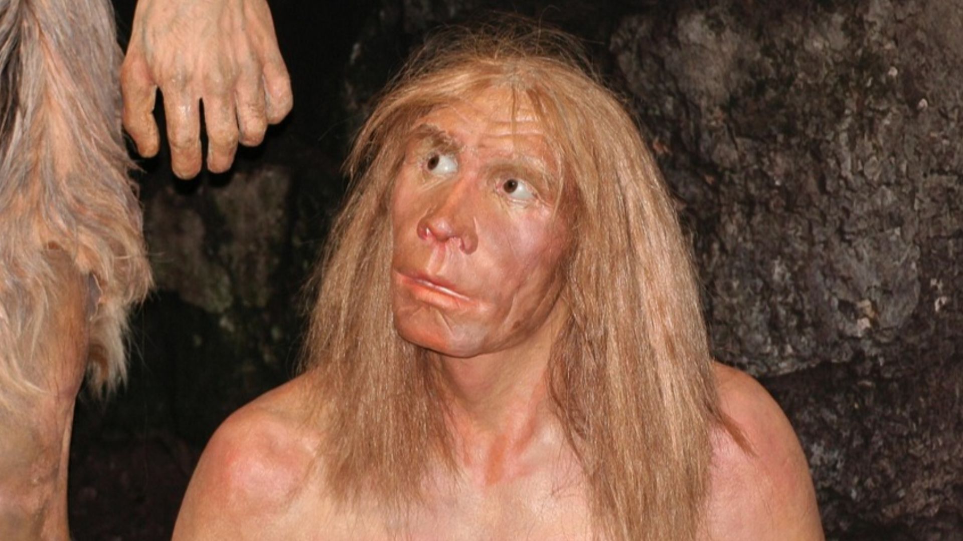 diegartenprofis