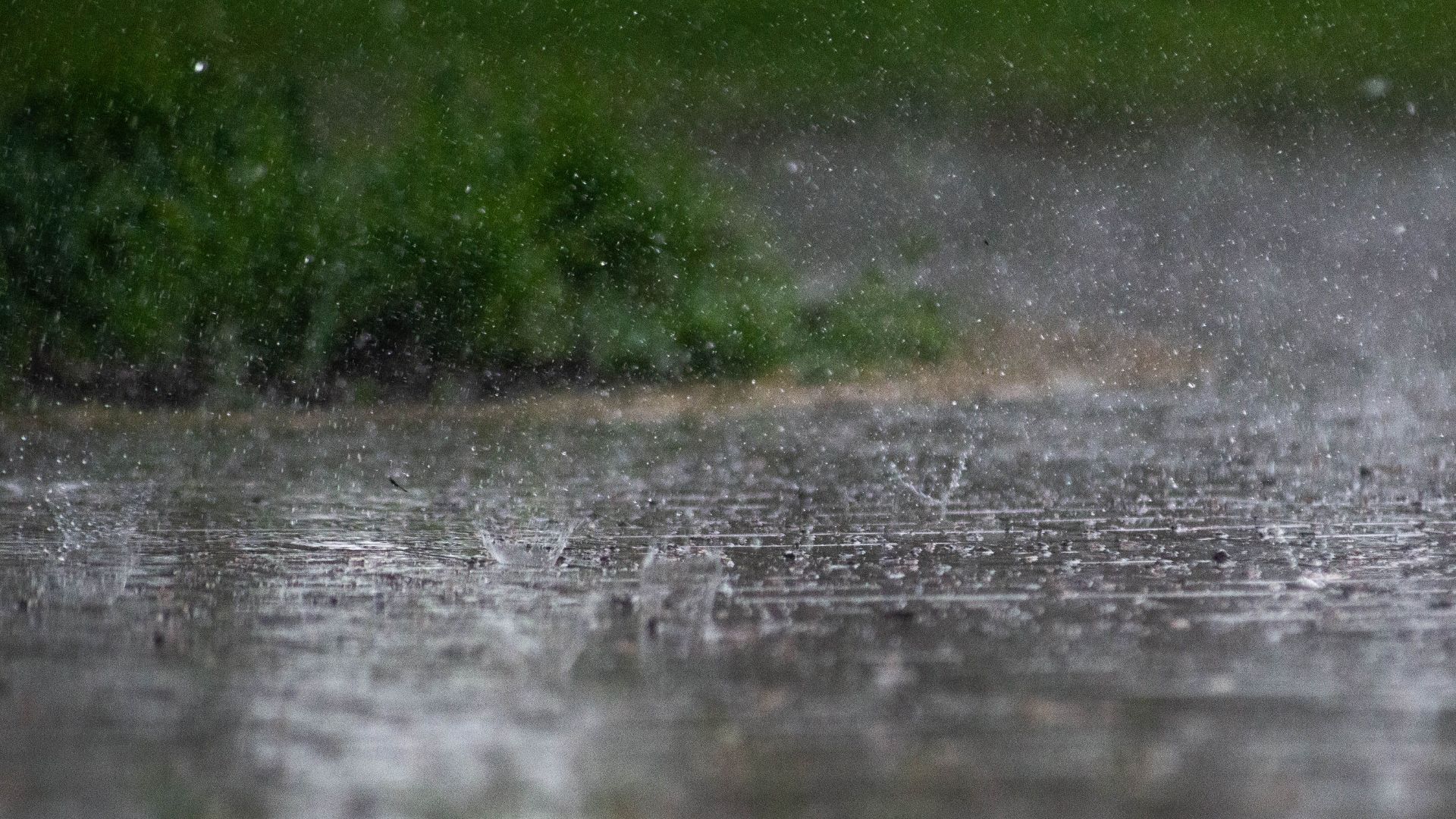 Close-up of heavy rainfall splattering on outdoor pavement with green foliage in the background.