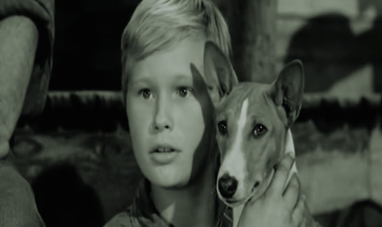 Screenshot from Good-bye, My Lady (1956)