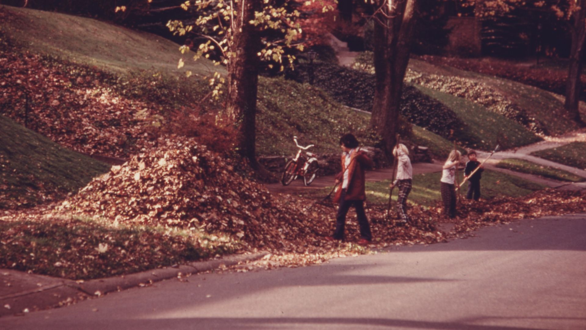 File:SUBURBAN FAMILY IN THE MT. LEBANON AREA, RAKES FALLEN LEAVES. THE URBAN RENEWAL RENAISSANCE PROGRAM BEGAN CHANGING... - NARA - 557290.jpg