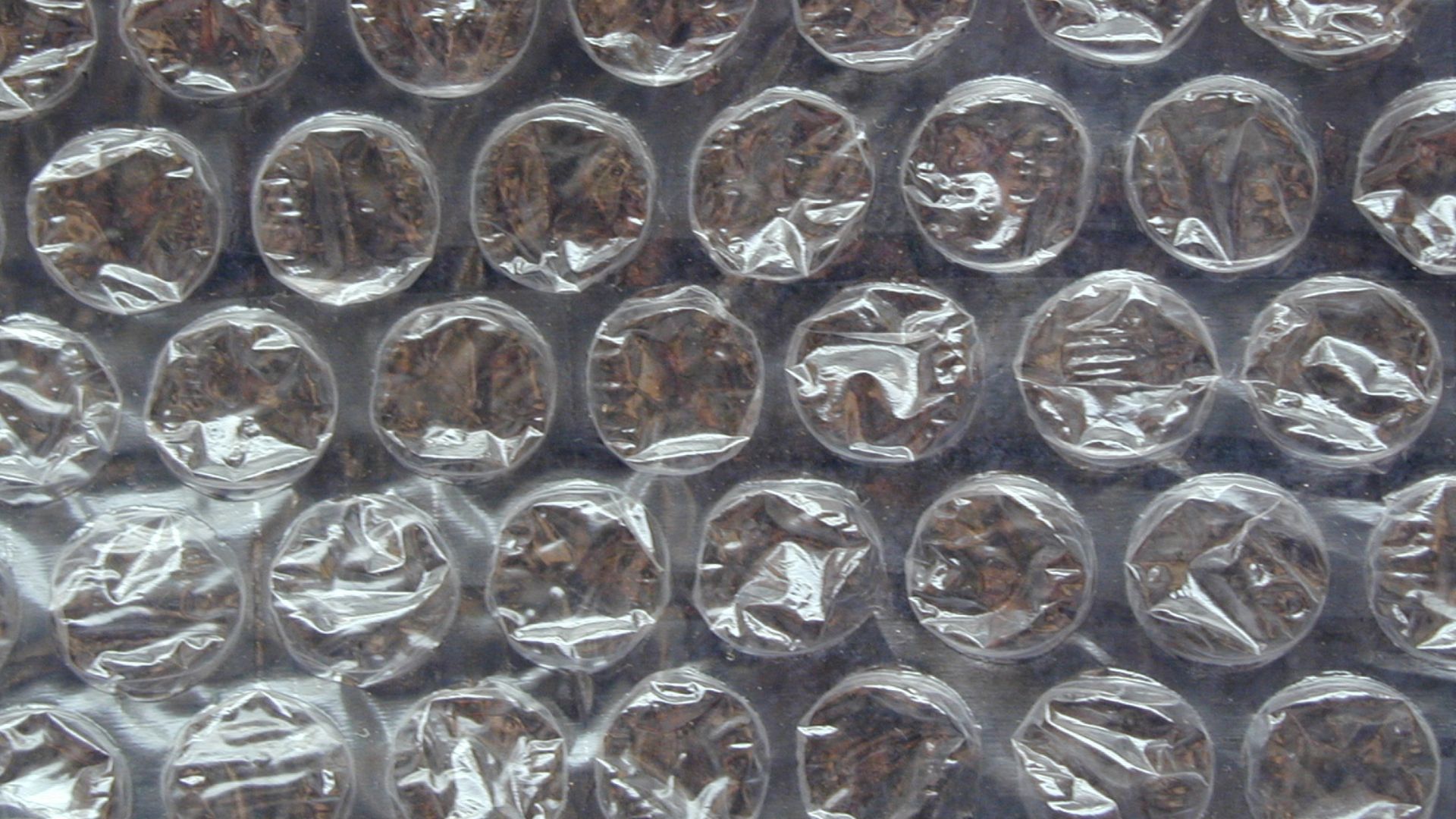 Bubble Wrap