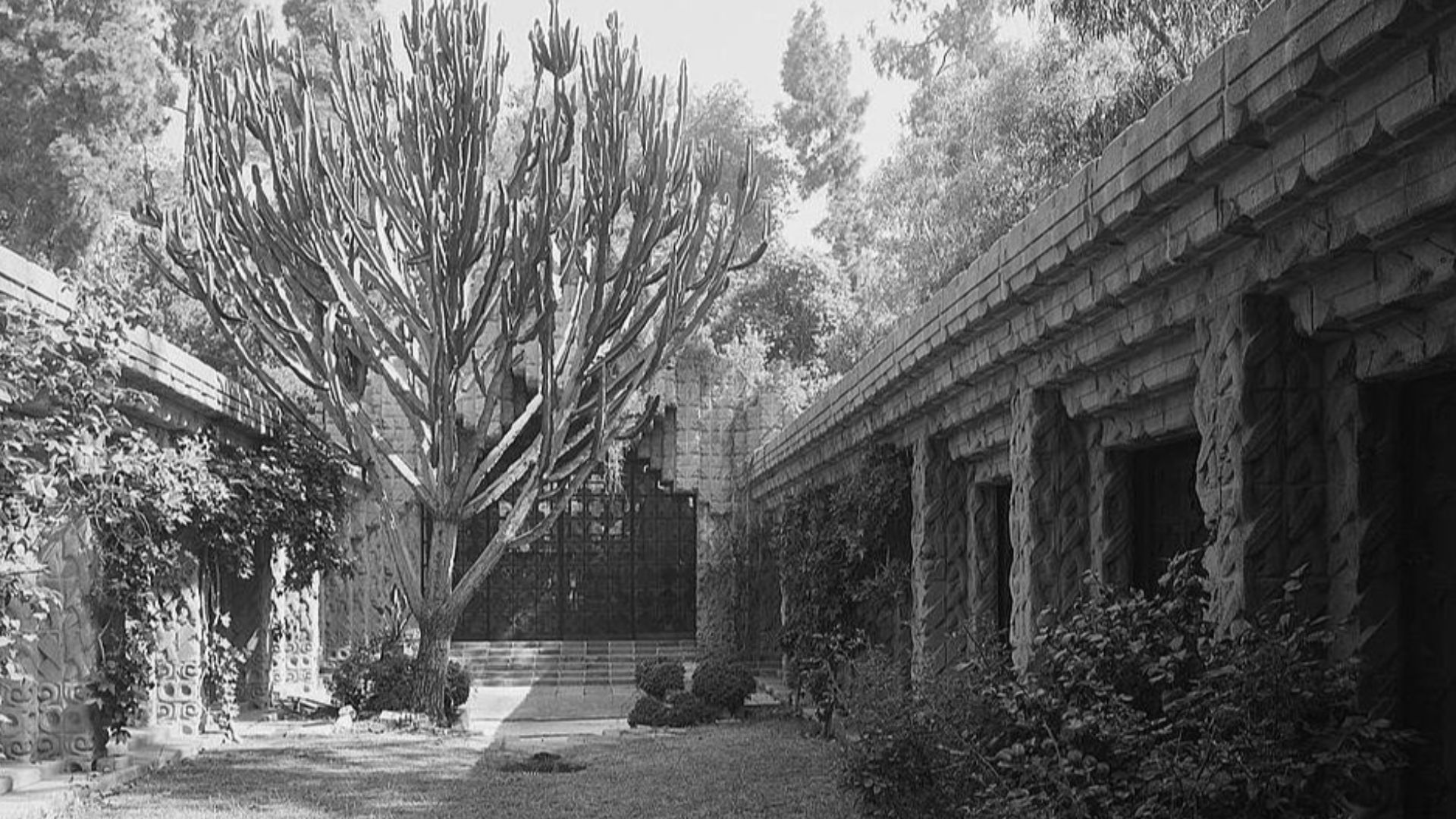 The courtyard in the John Sowden House, located in Hollywood, California.