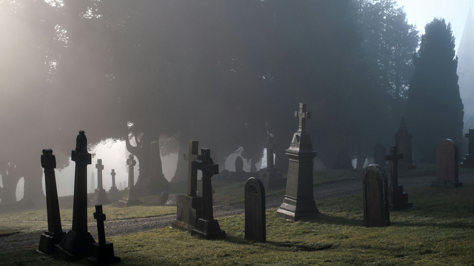 a foggy graveyard with tombstones in the foreground