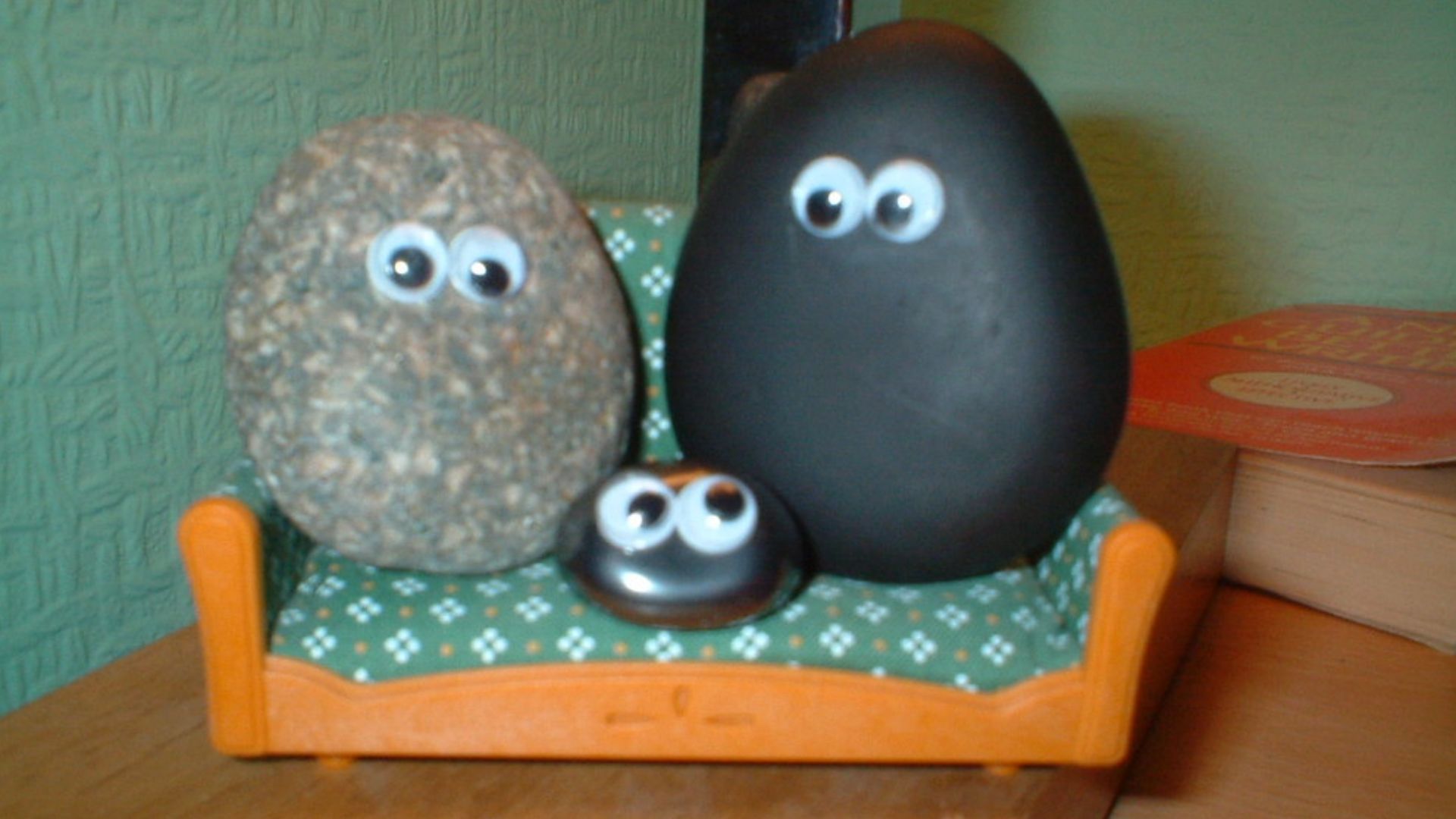 Image of imitation pet rocks. The original rocks had no eyes.