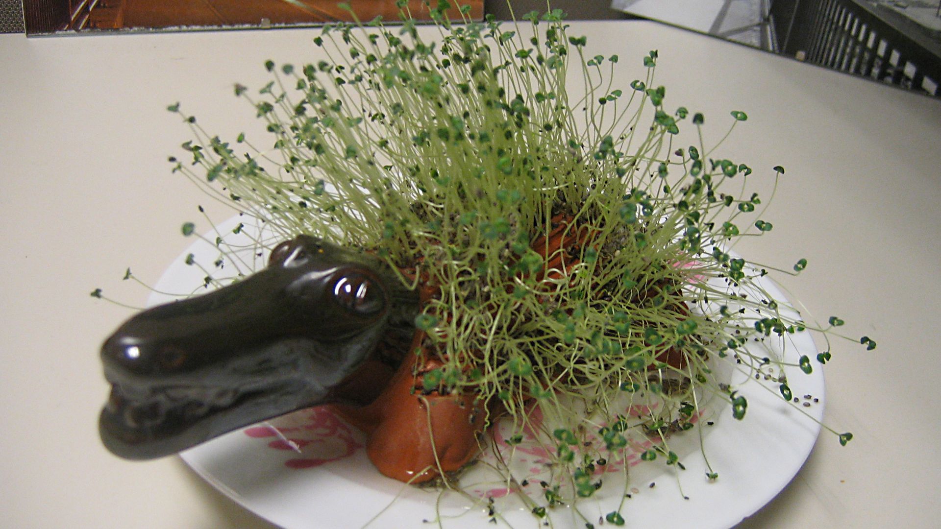 An alligator Chia Pet named Wally Gator.