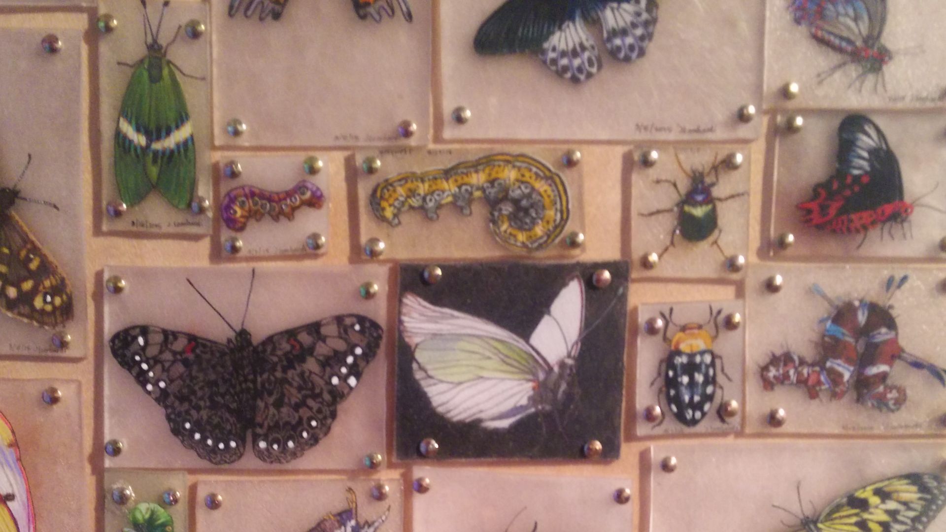 Shrinky Dinks butterflies on auction.