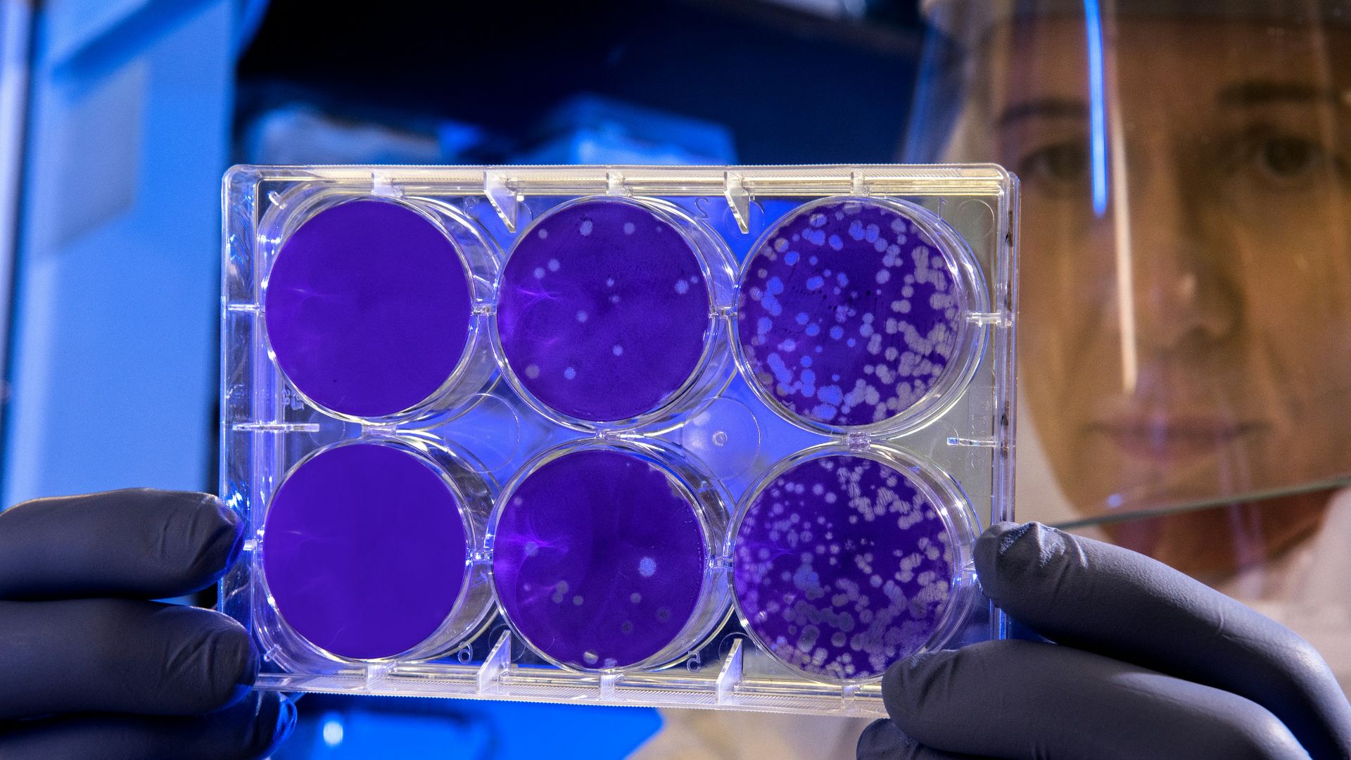 woman holding laboratory appratus