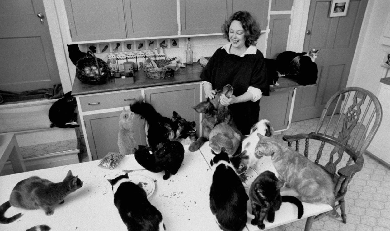 WESTPORT, UNITED STATES - JANUARY 01: Actress Sandy Dennis in the kitchen of her home with some of her cats gathered around her.