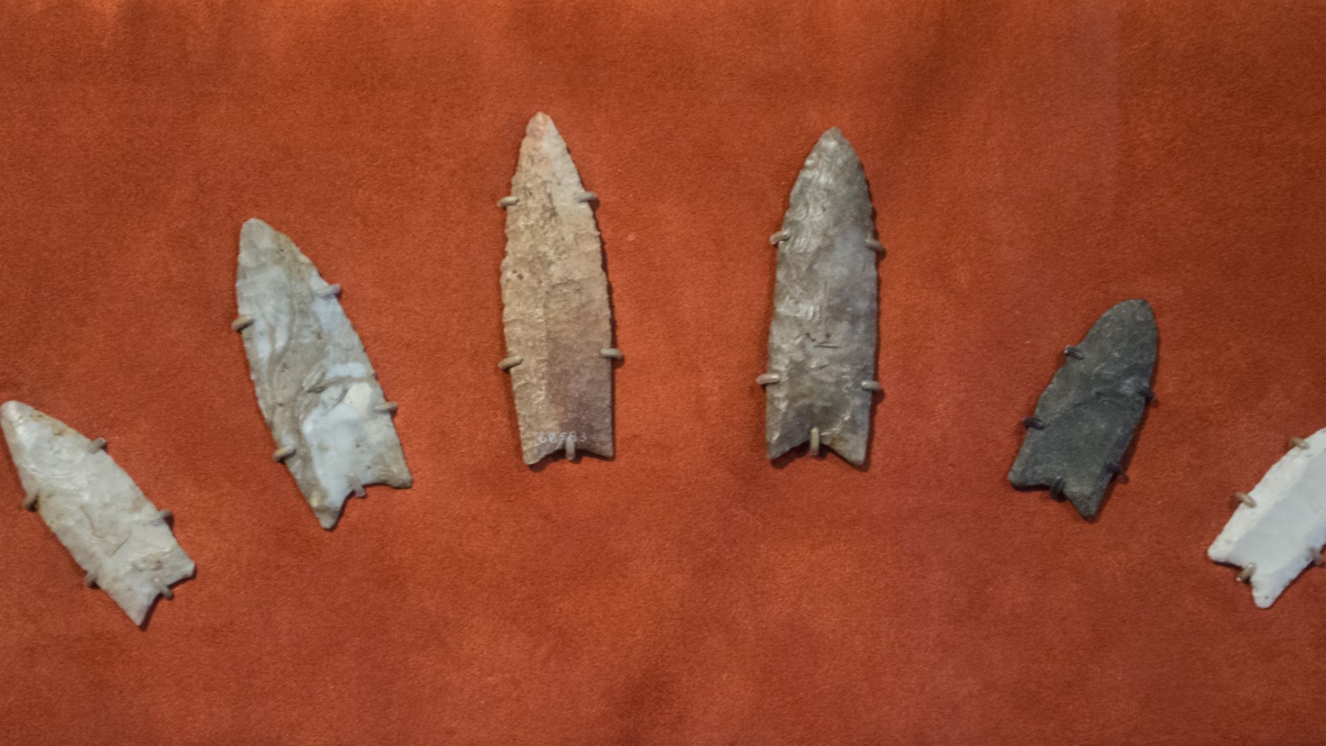 File:Clovis spearpoints - Cleveland Museum of Natural History.jpg