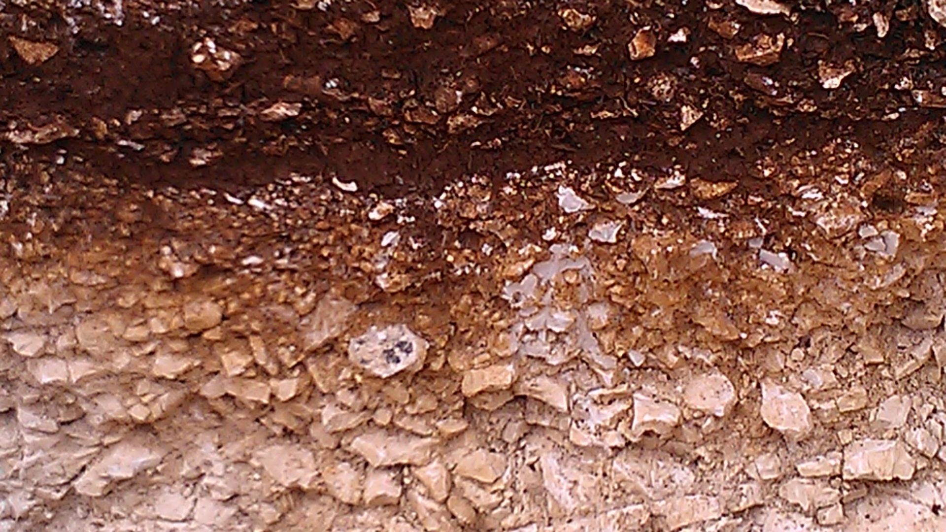 File:Archaeological stratigraphy at Goosehill Camp.jpg