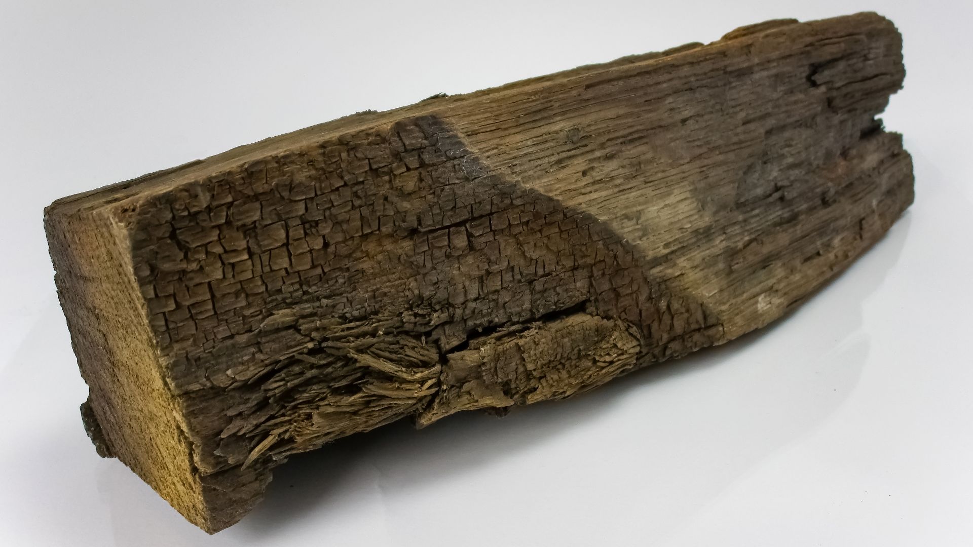 File:Piece of oak wood from the ship Vasa 1.jpg