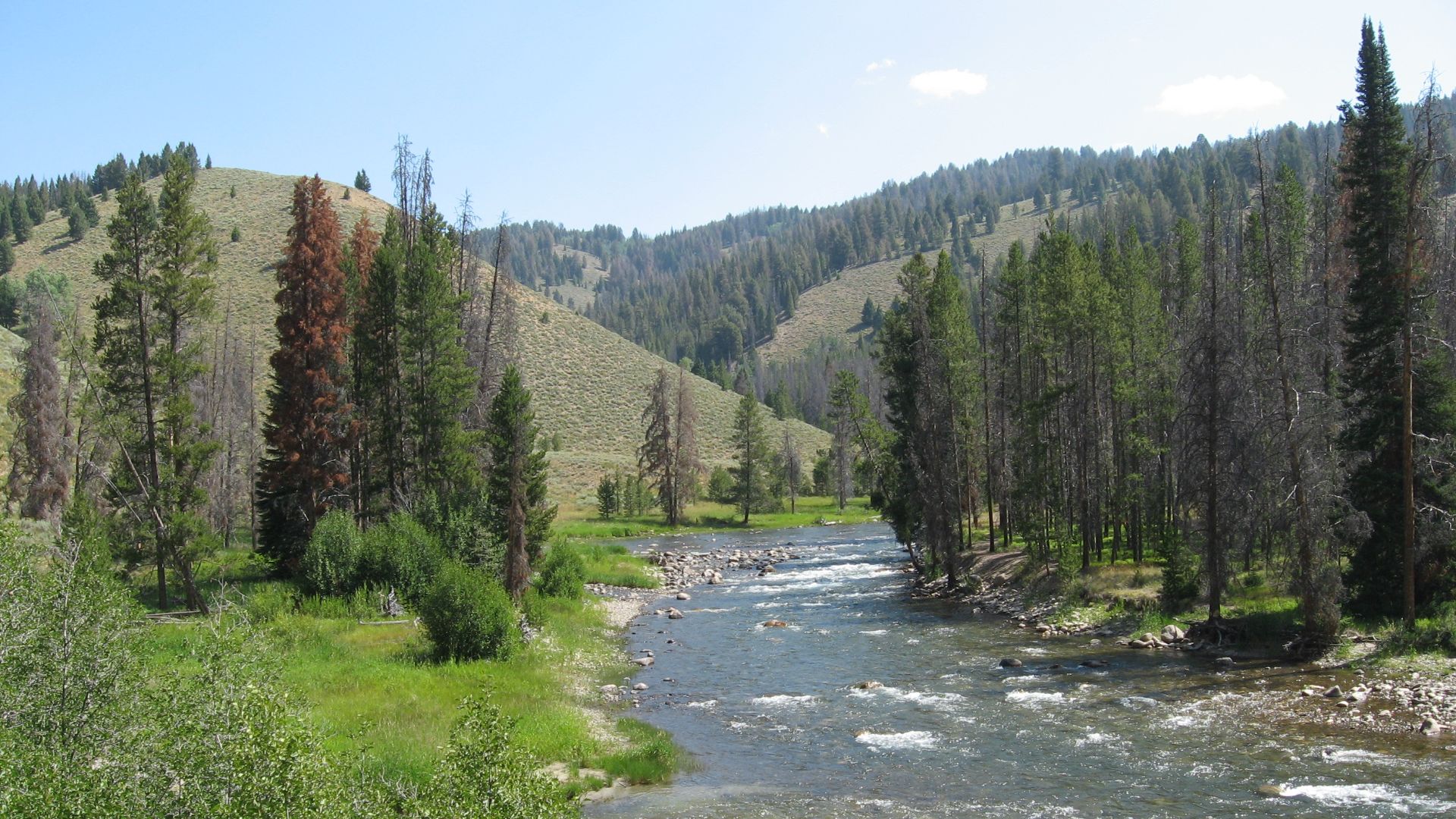 File:Salmon River.JPG