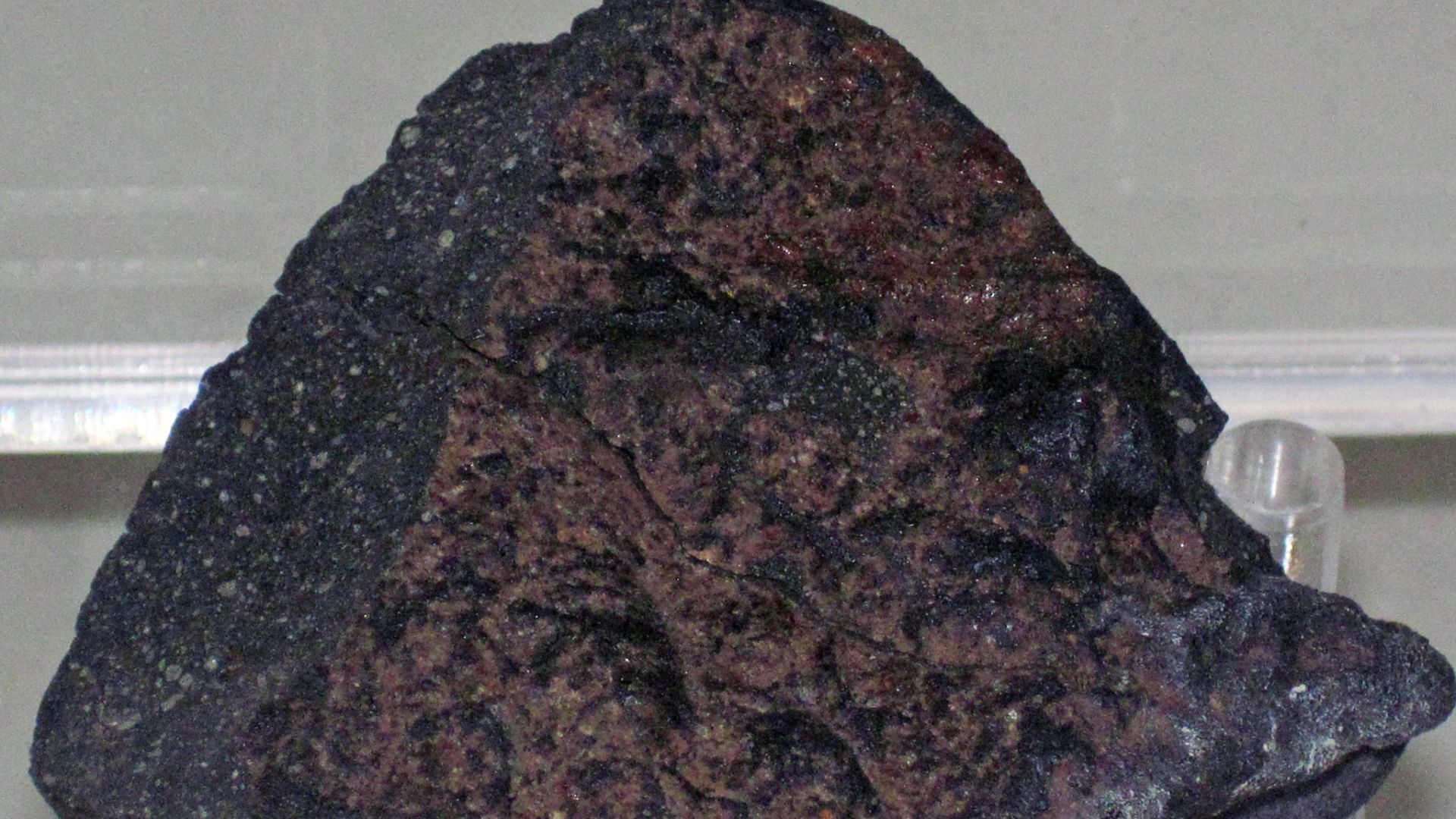 File:Carbonaceous chondrite (Murchison Meteorite) 2.jpg