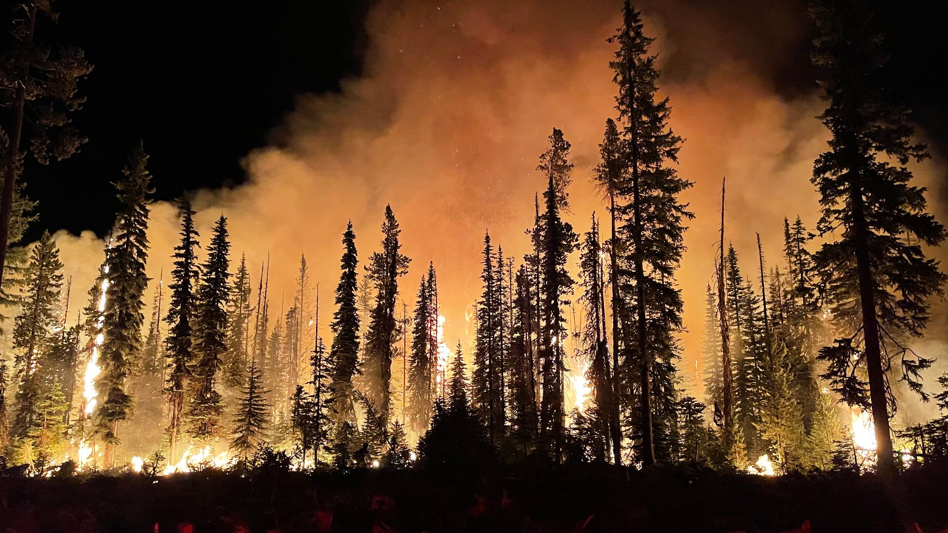 File:Lick Fire on the Umatilla National Forest burning at night.jpg