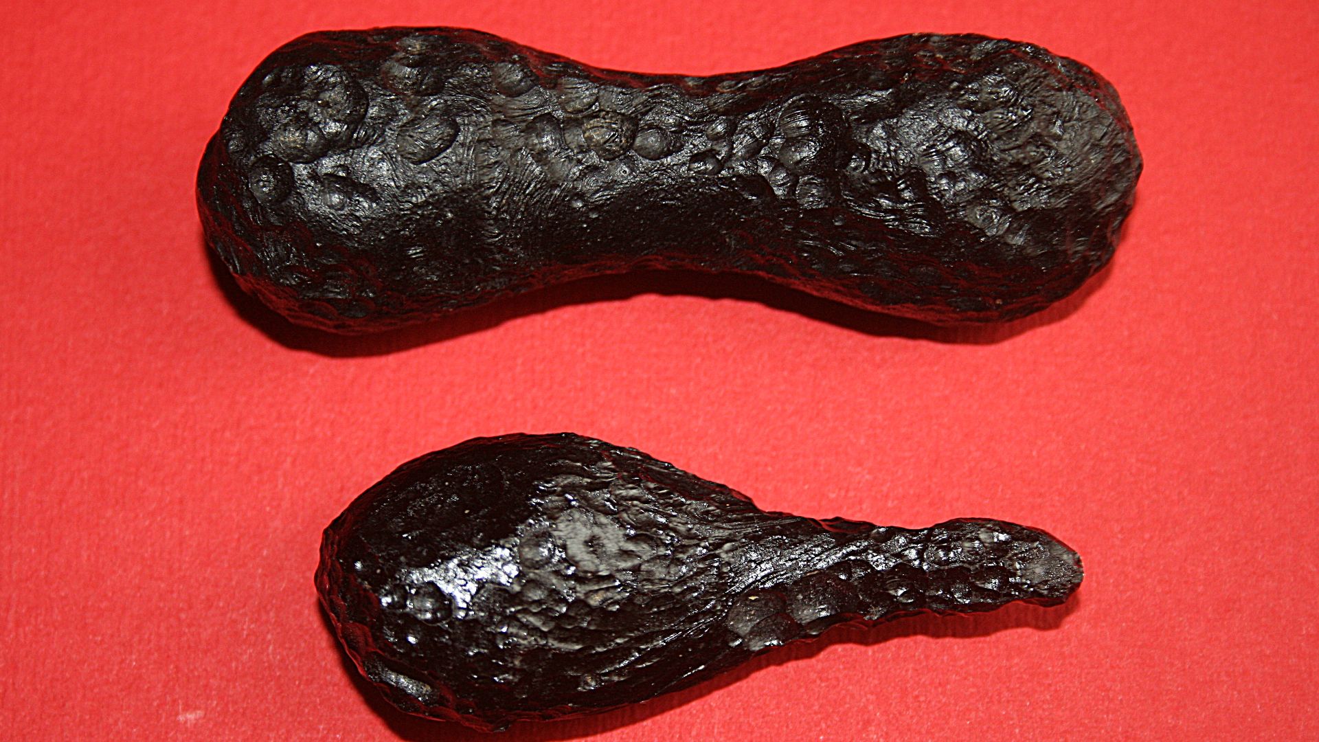 File:Two tektites.JPG