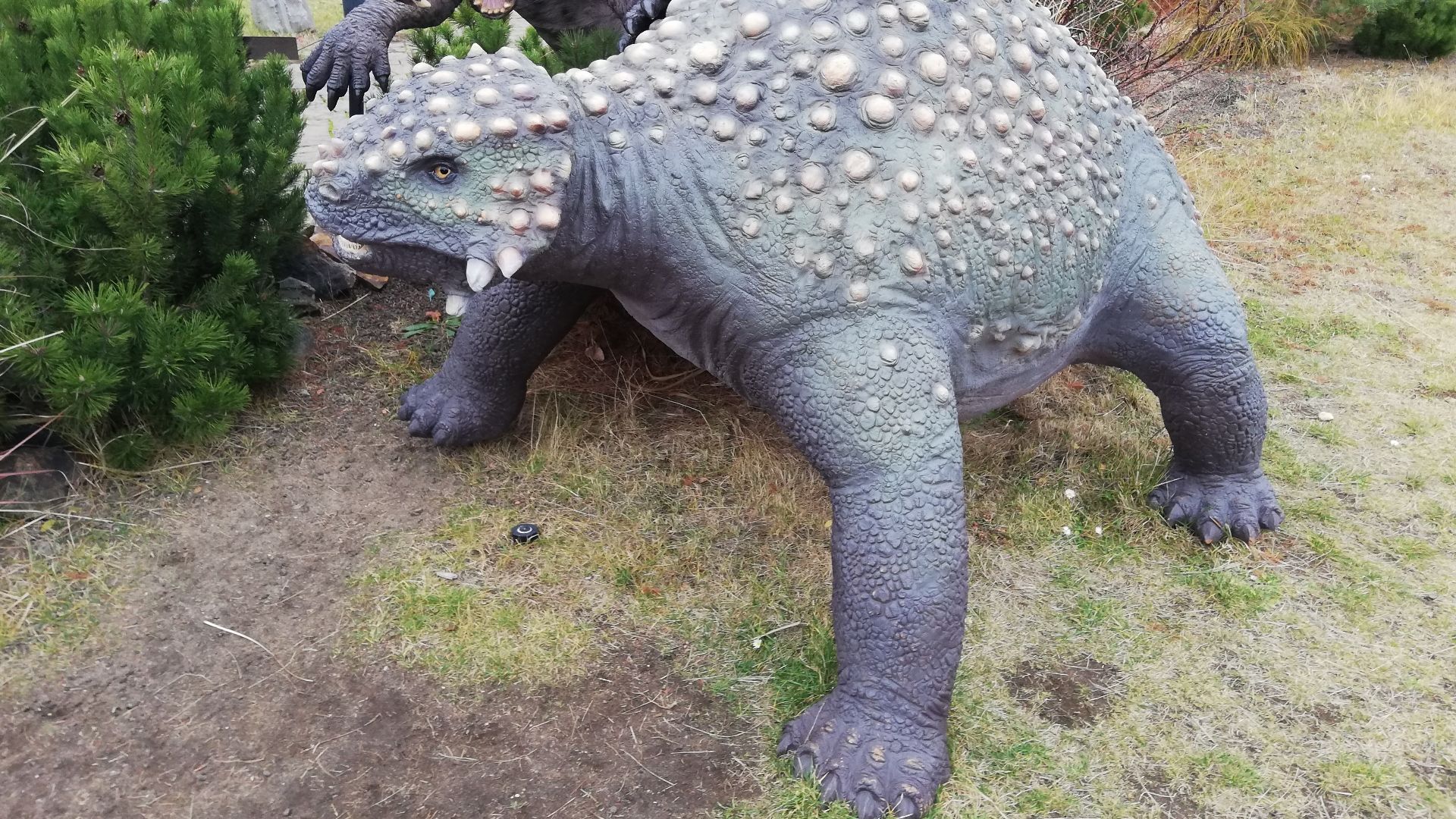 File:Scutosaurus x Inostrancevia OC Harfa Praha.jpg
