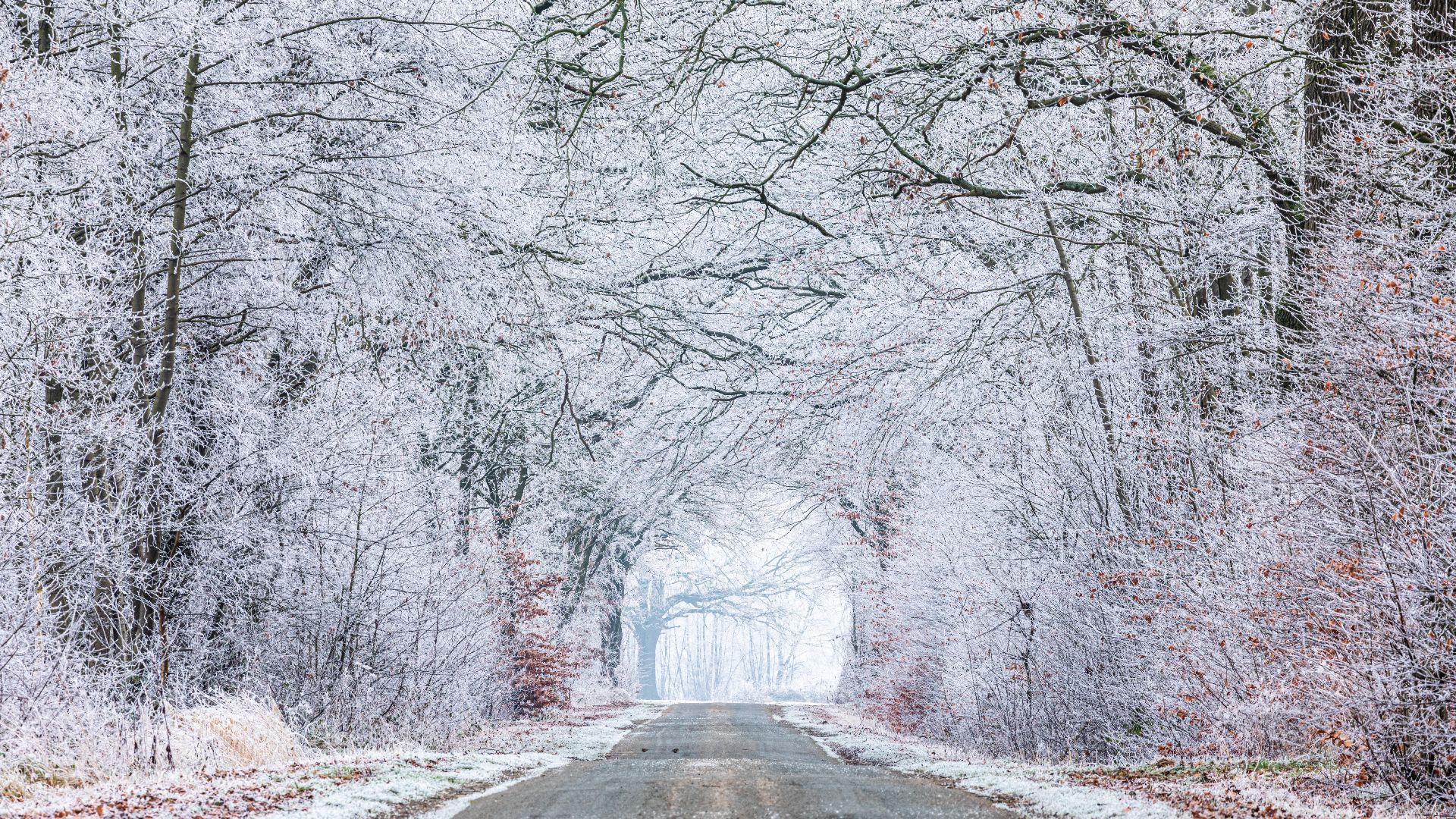 File:Dülmen, Kirchspiel, Dernekamp, Wirtschaftsweg -- 2021 -- 9407.jpg