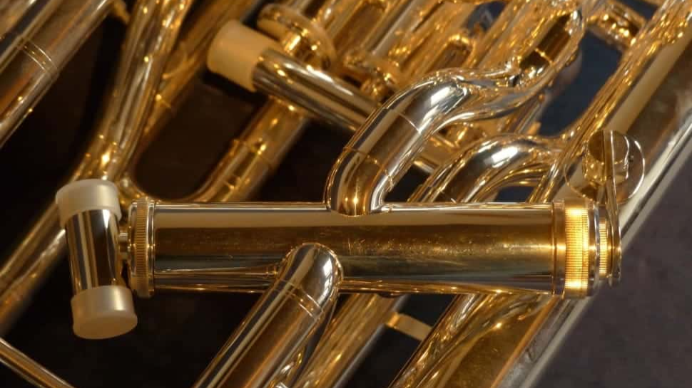 Rule Made Because of You Facts