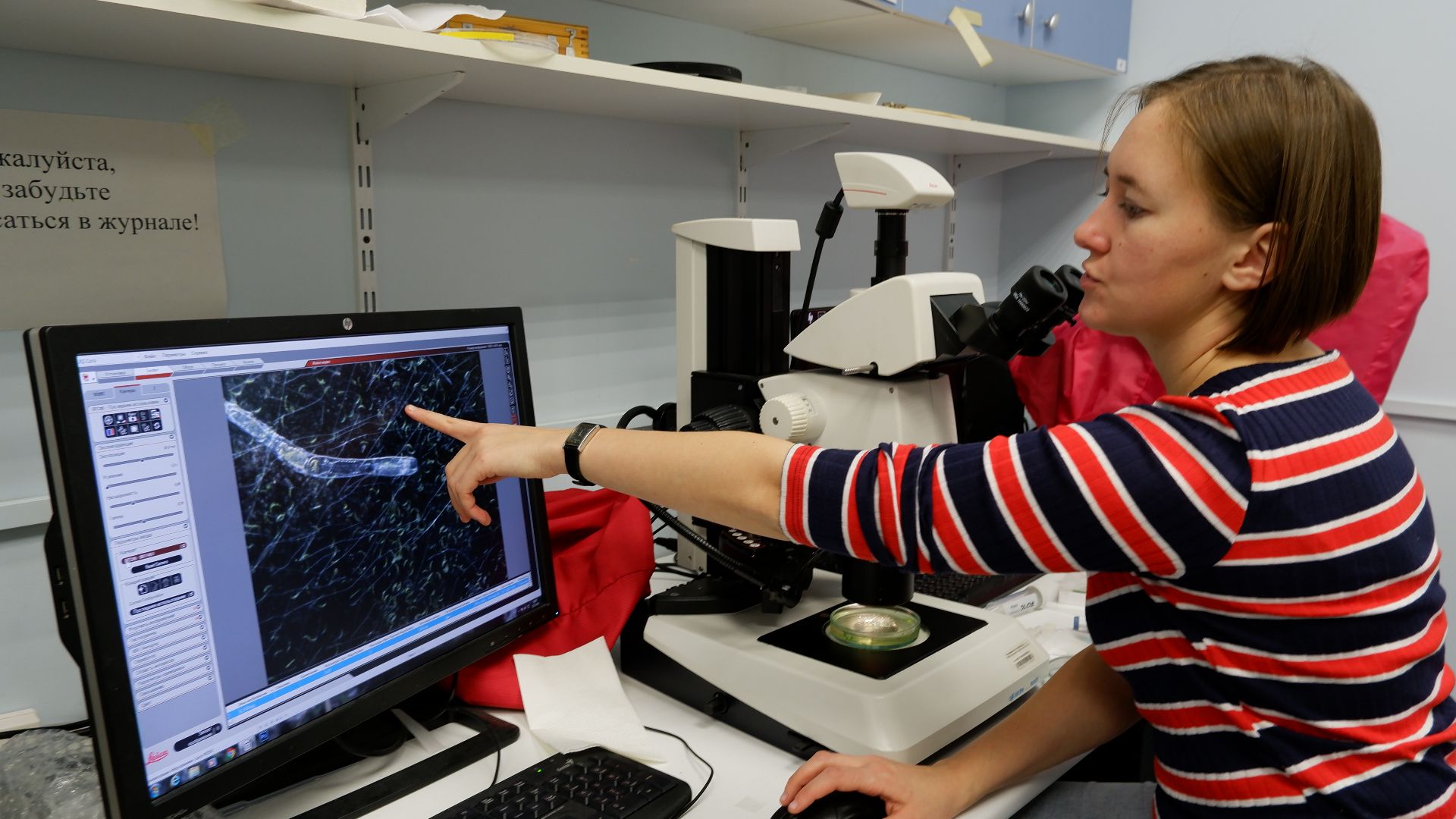 File:Ученый биолог выводит изображение с микроскопа на компьютер.jpg