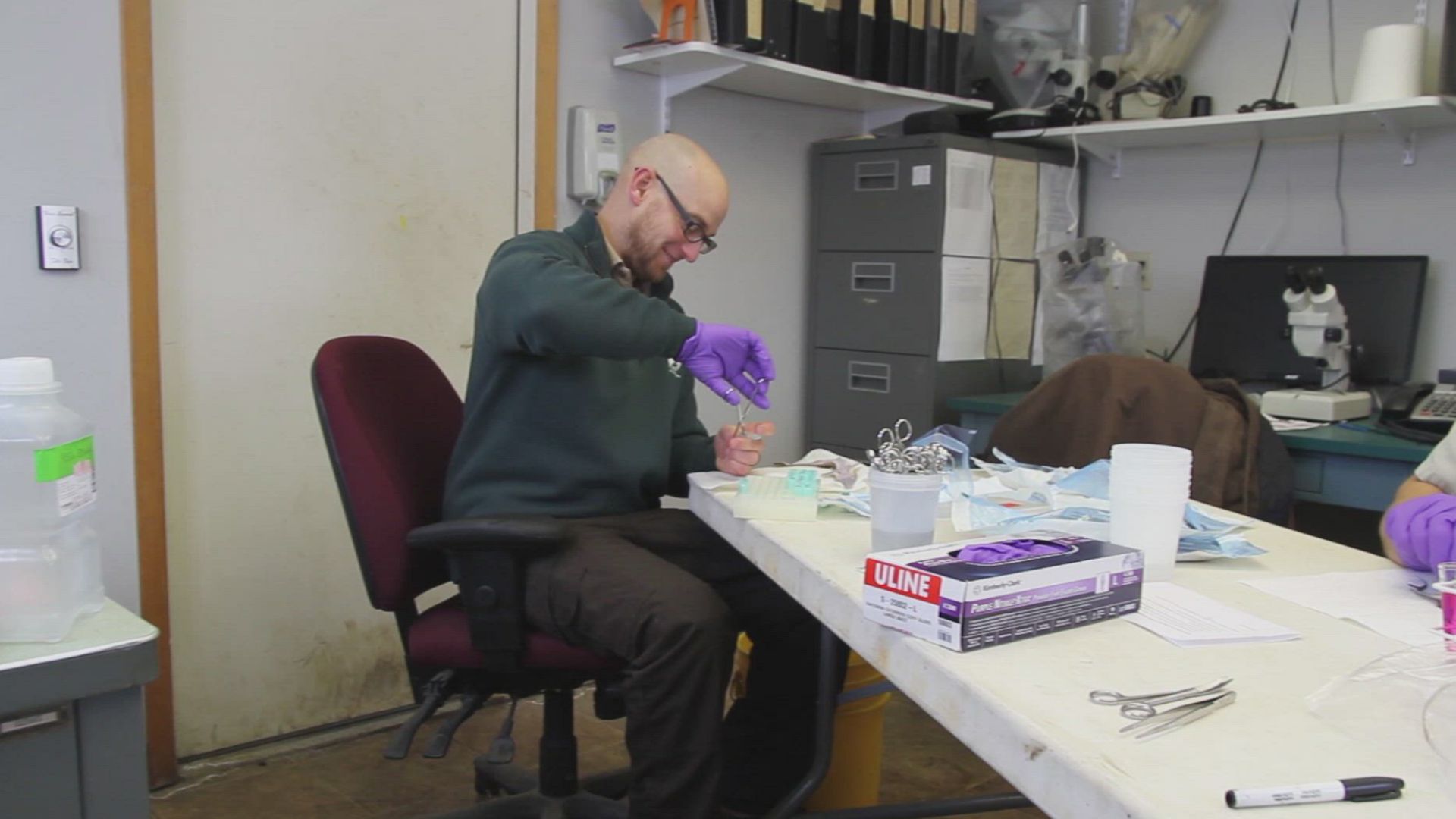 File:Lab Work at Gavins Point National Fish Hatchery (51279558943).jpg