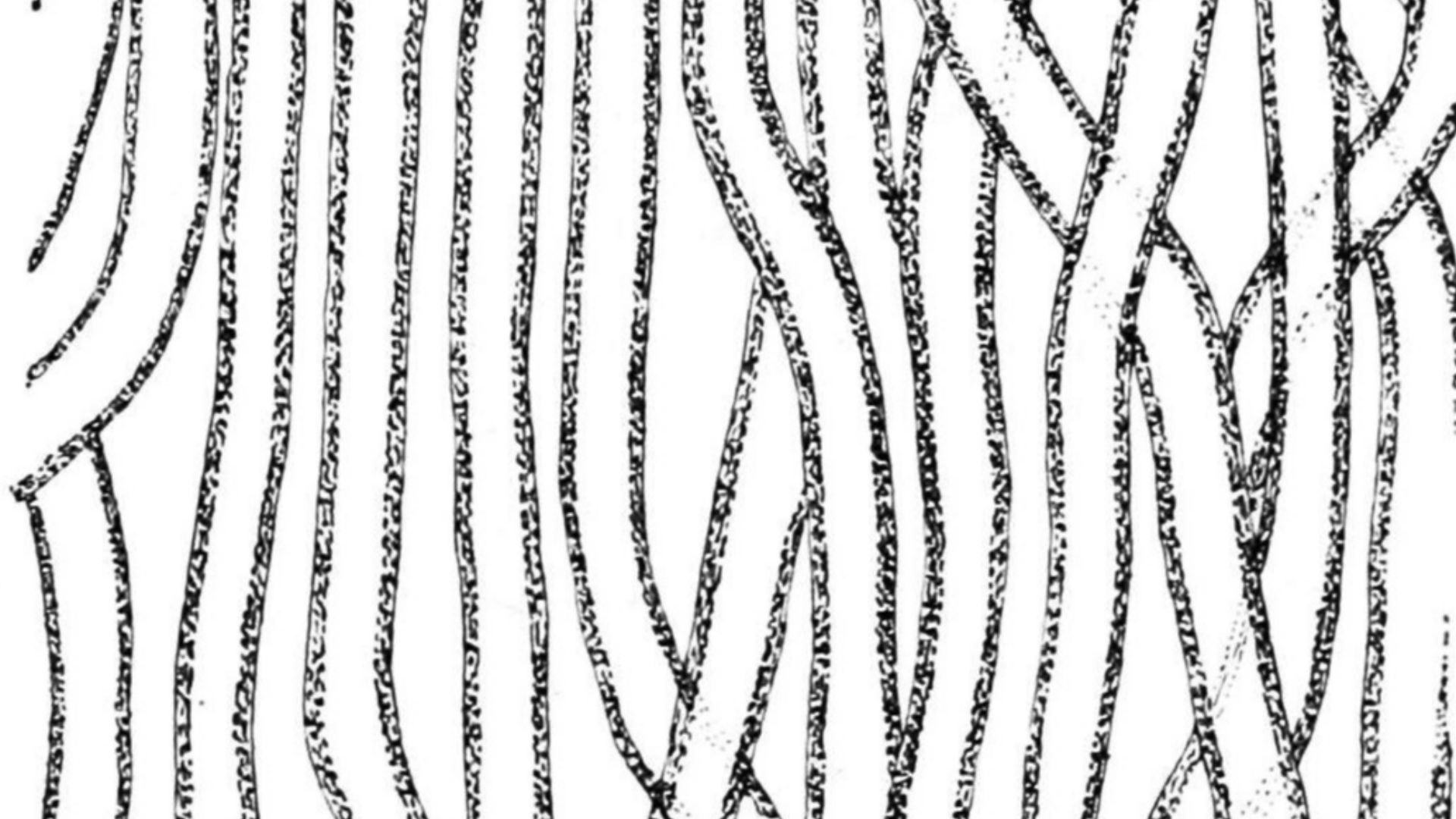 File:PSM V32 D813 Vertical section of a Nematophyton logani.jpg