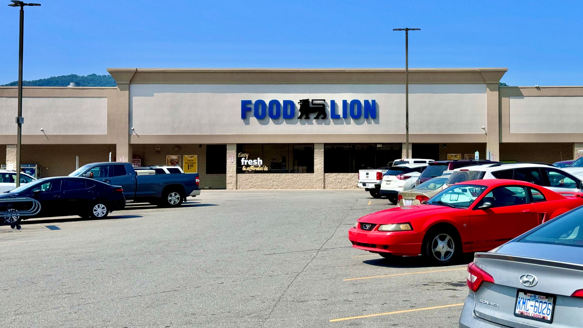 File:A Food Lion supermarket in Clyde, North Carolina.jpg