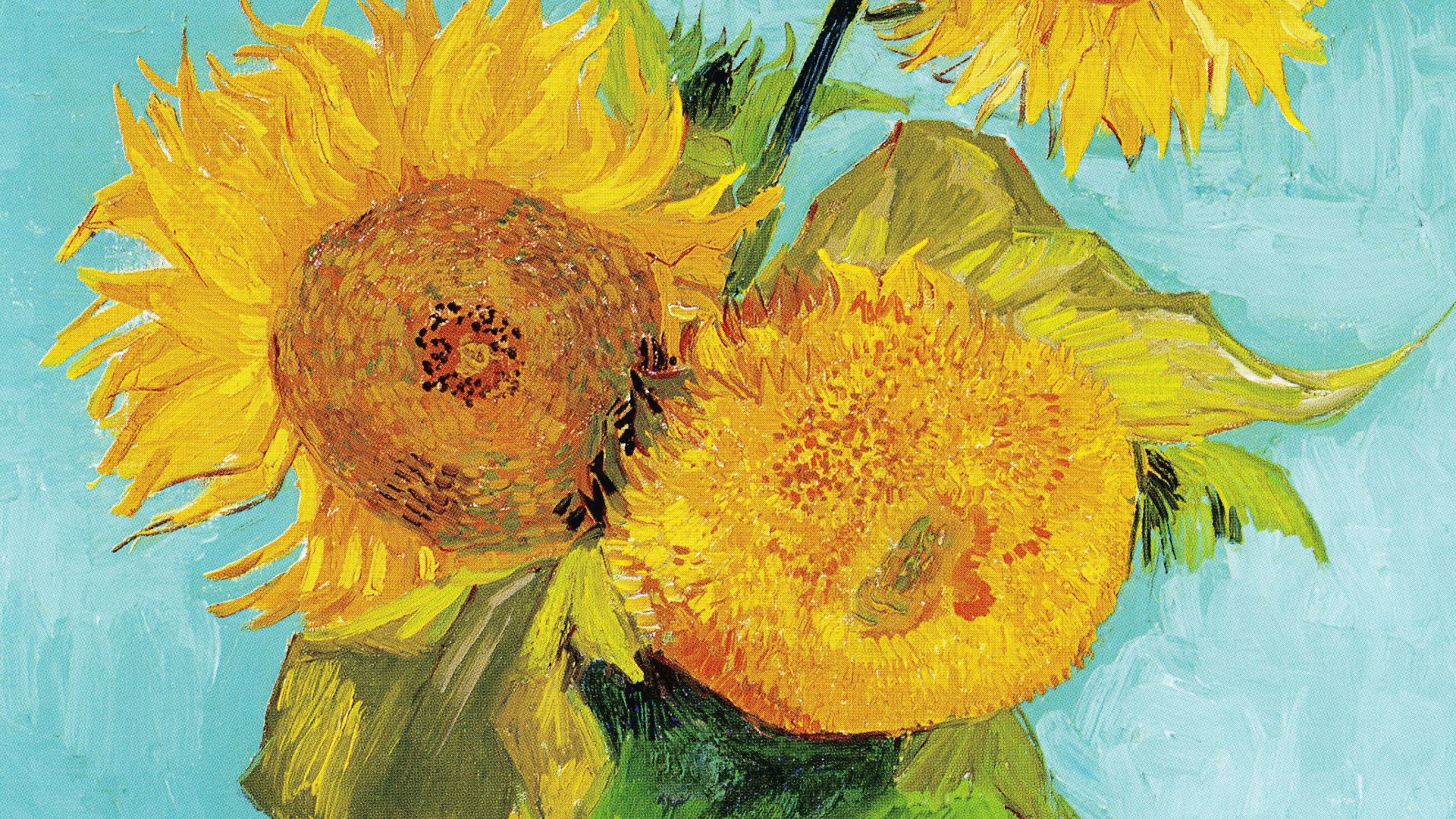 File:Vincent Van Gogh - Three Sunflowers F453.jpg