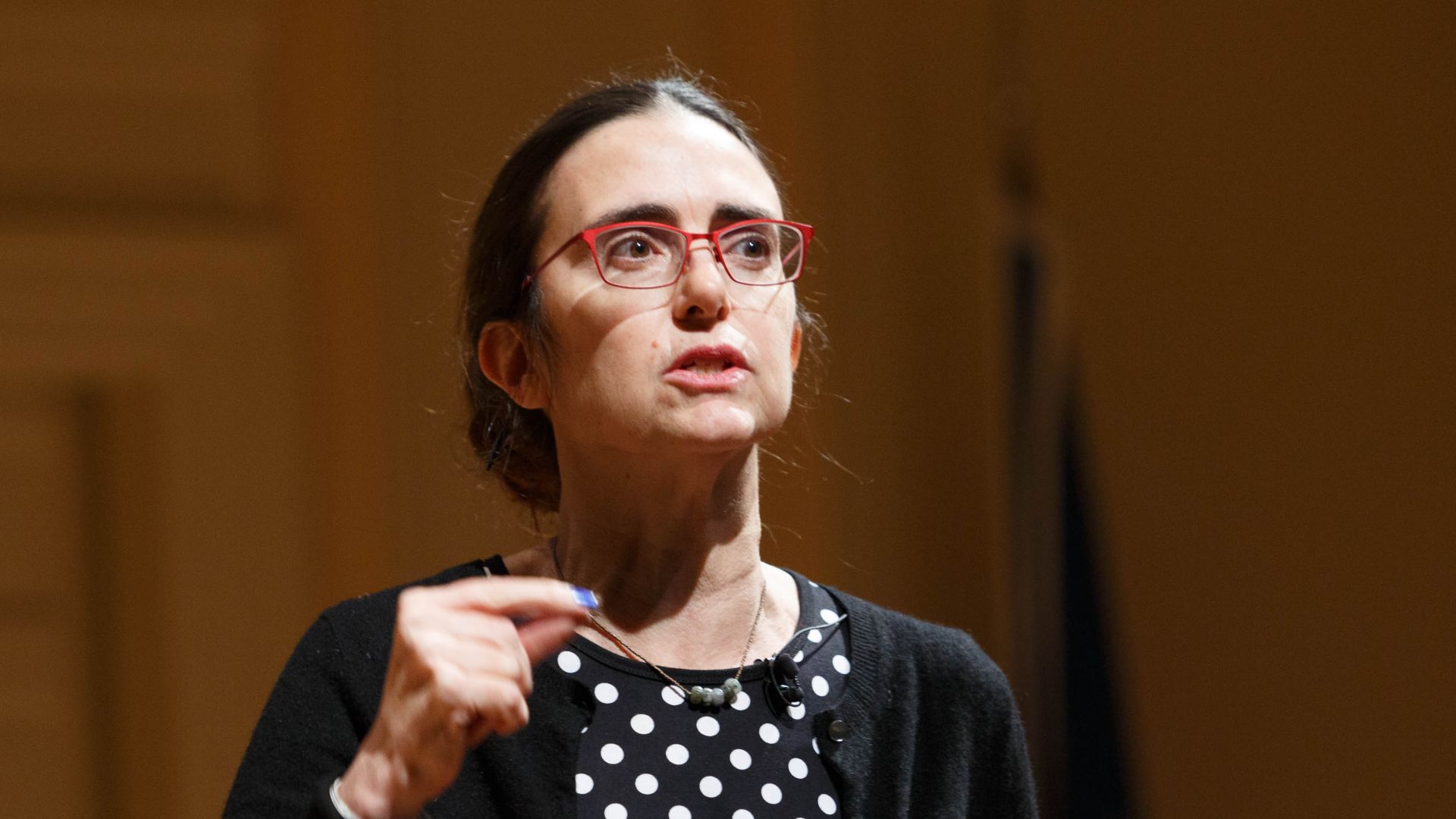 File:Jeanne Theoharis (49534266103).jpg