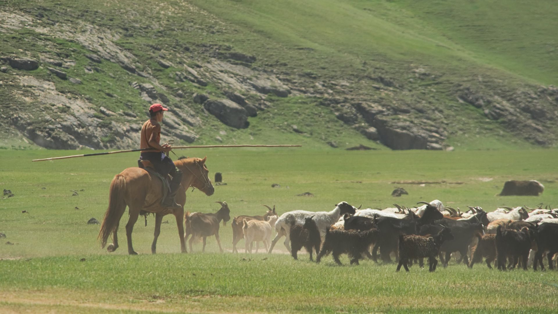 File:Nomadic herders of Mongolia (39129312115).jpg