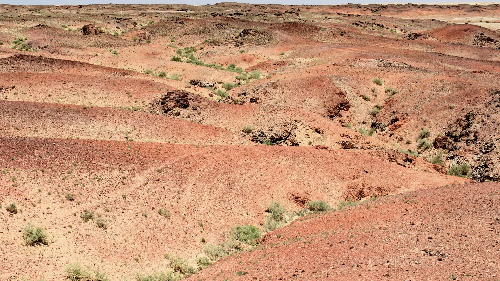 File:Gobi, krajobraz pustyni (25).jpg