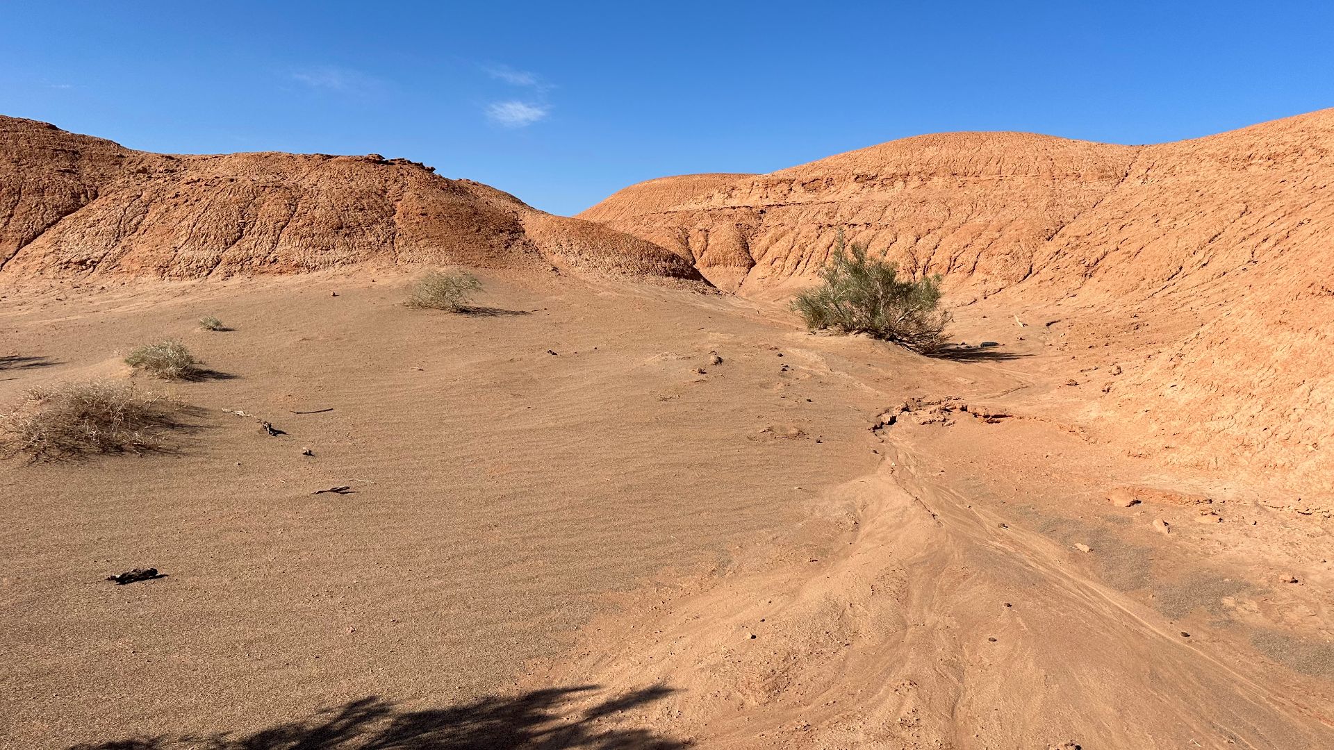 File:Gobi Desert 2023 in Ömnögovi Province, Mongolia 9.jpg