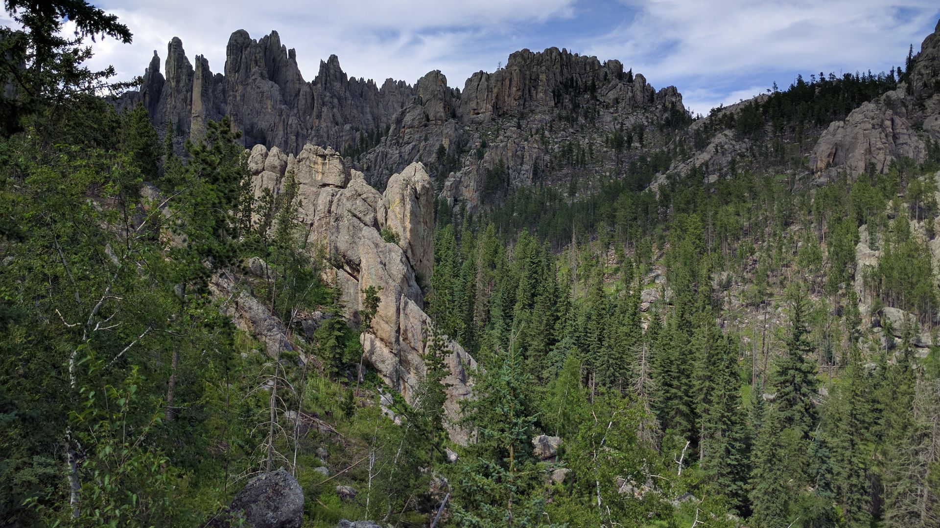 File:Needles Highway 05.jpg